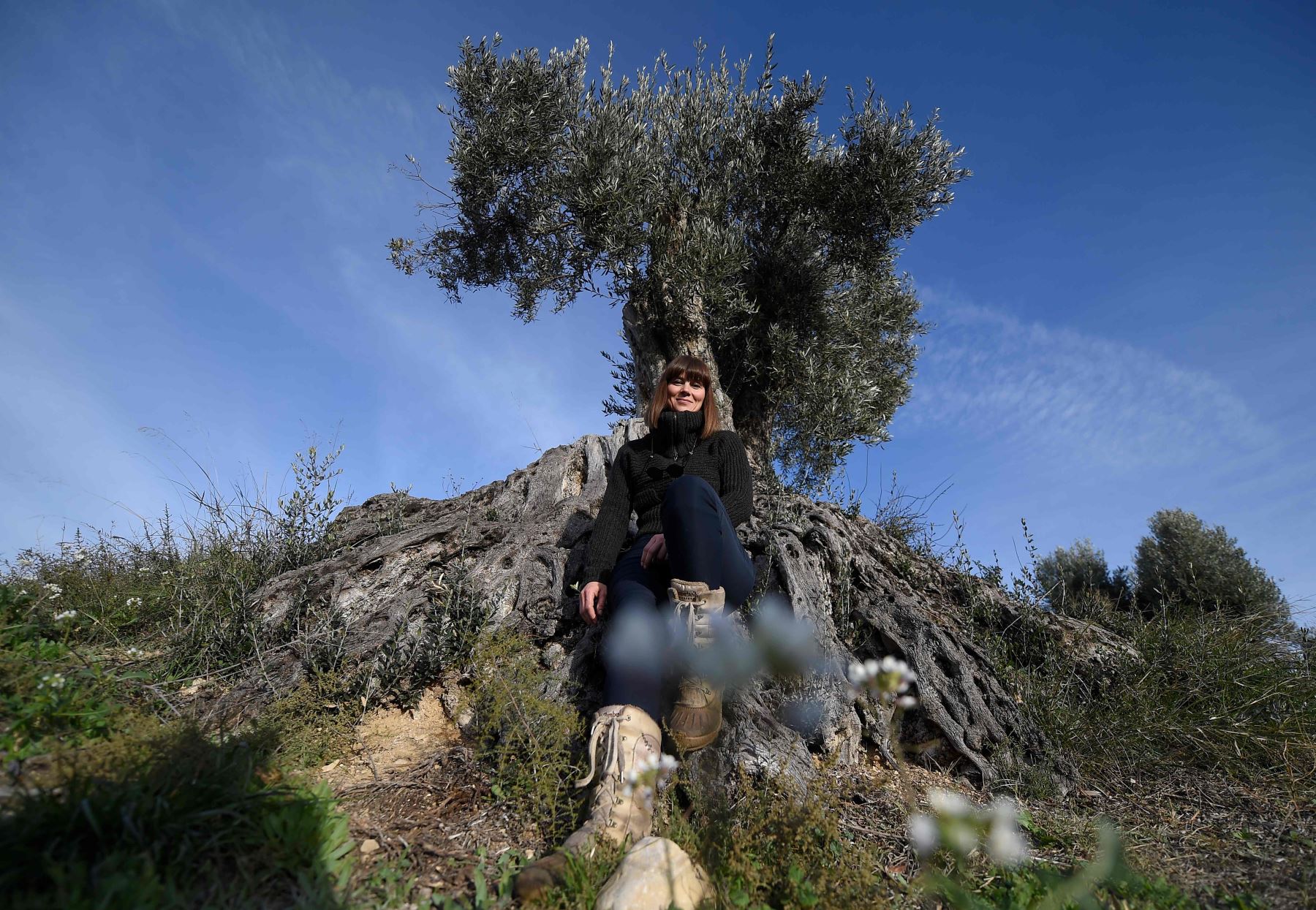 Sira Plana, cofundadora de "Adopta un olivo", posa junto a una en Oliete Foto: AFP