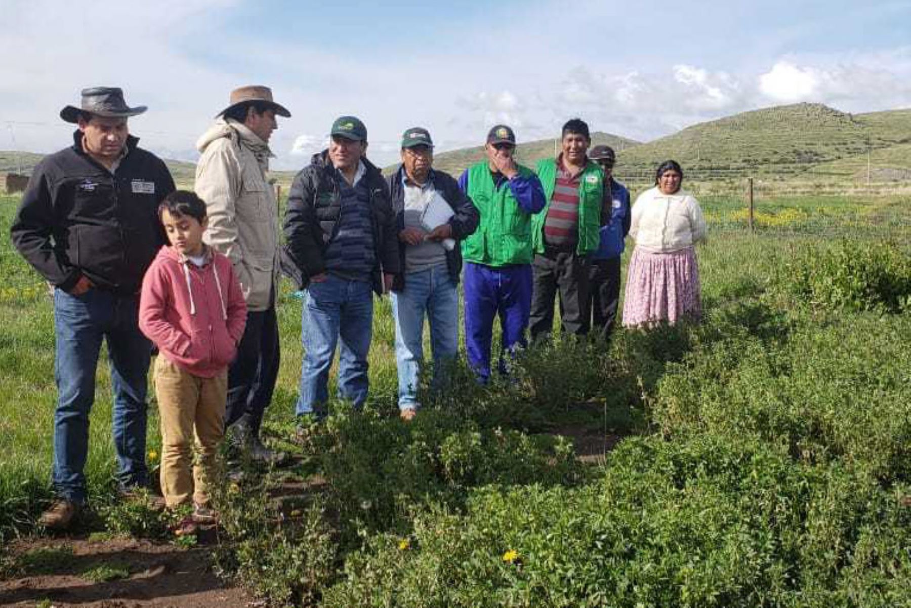 Puno: Minagri fortalece capacidades de pequeños ganaderos en manejo de pastos