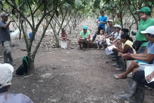 Devida capacita a productores de cacaos en 77 comunidades de Huánuco