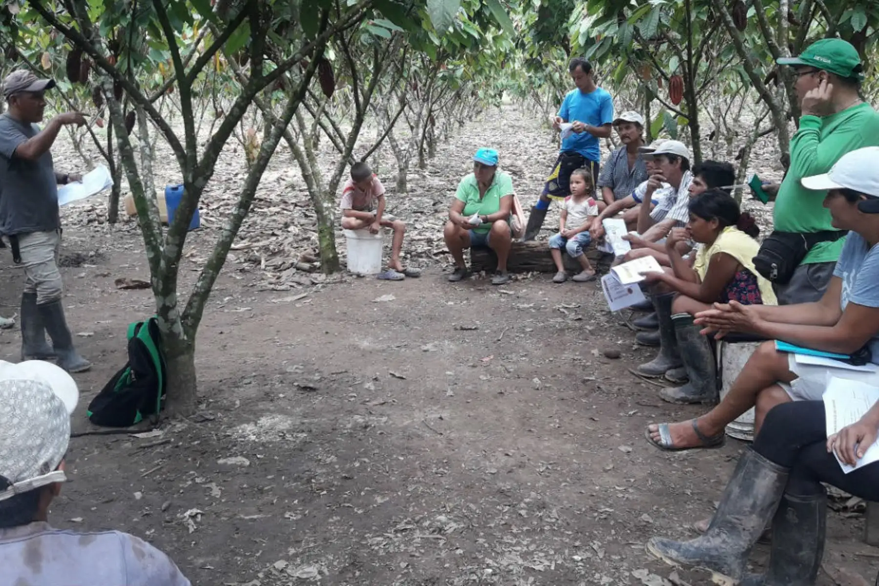 Devida capacita a productores de cacaos en 77 comunidades de Huánuco