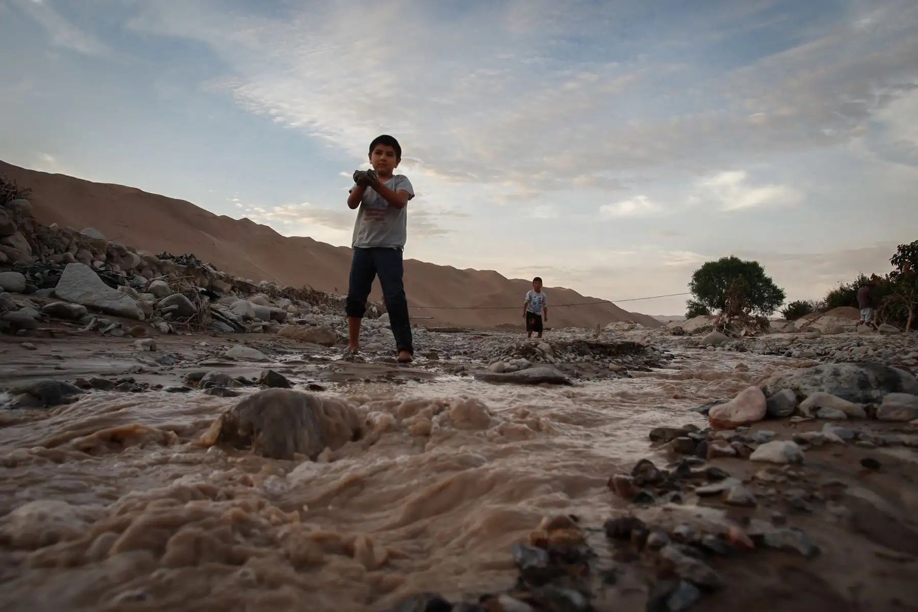 Valles agrícolas en la región de Tacna se vieron afectados por huaicos y crecidas del río Locumba. Foto: ANDINA/Nathalie Sayago