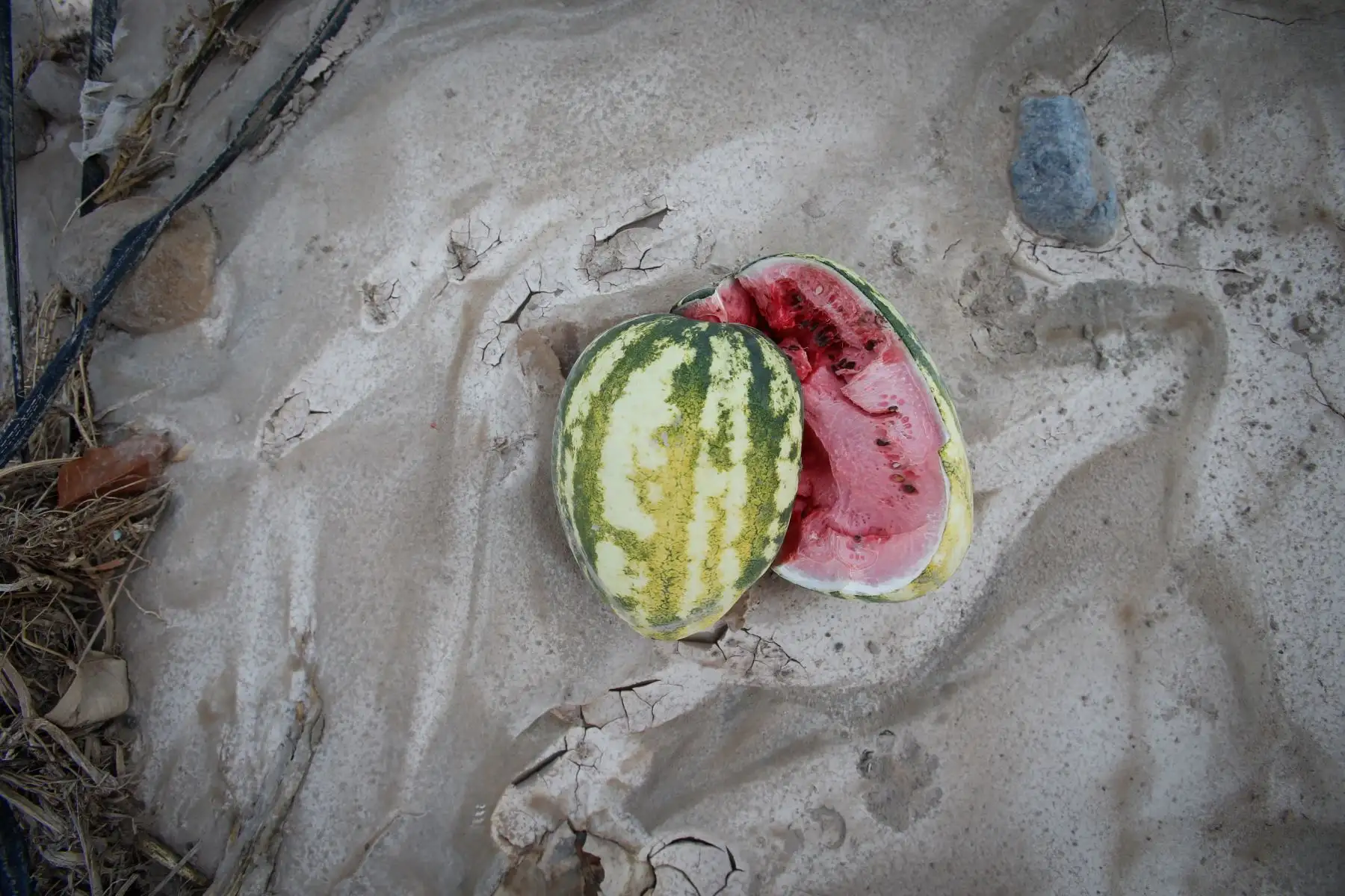 El Valle de Cinto se caracteriza por la producción de fruta. En la actualidad toda la producción fue destruida por el huaico y crecidas del río Locumba. Foto: ANDINA/Nathalie Sayago