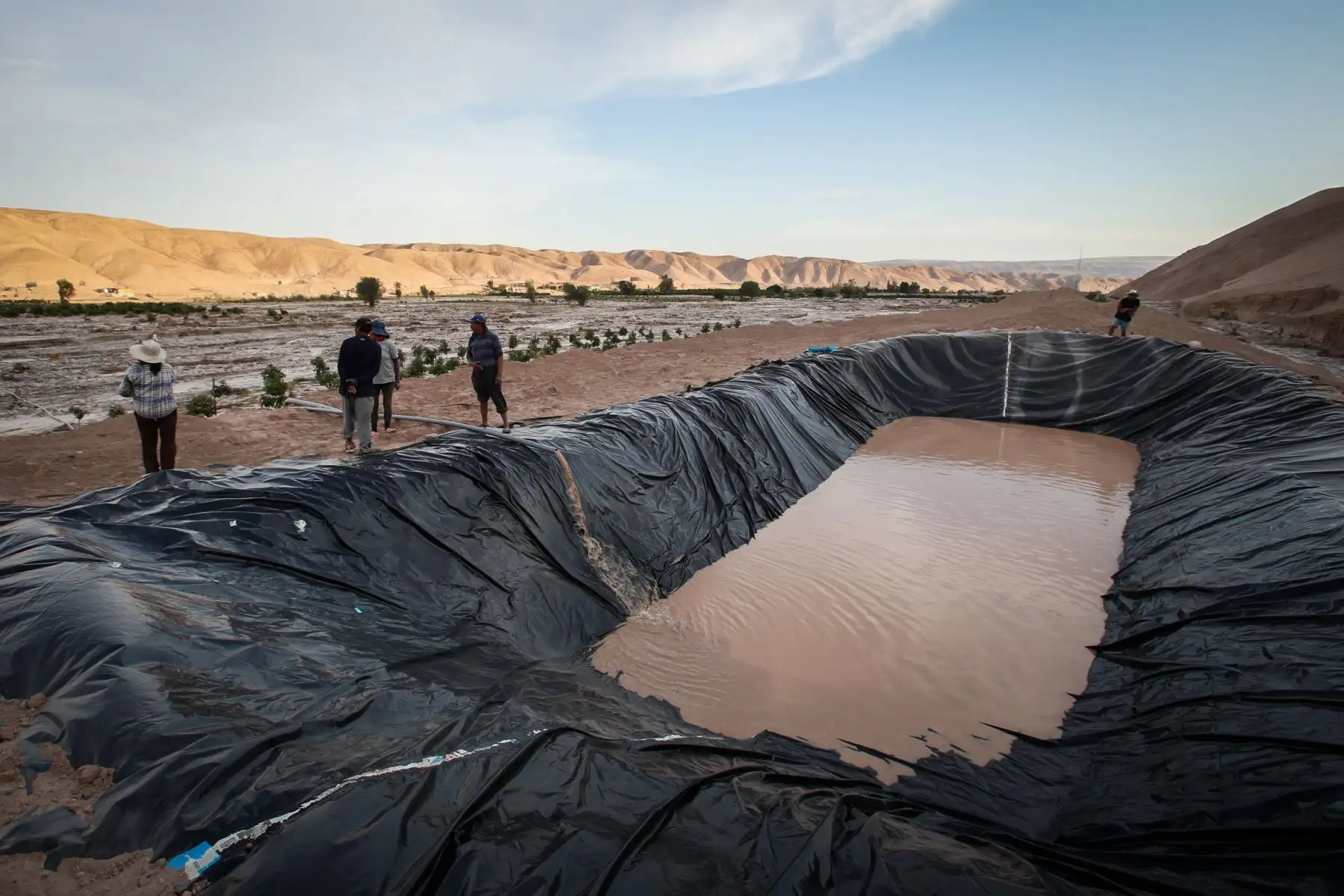 Valles agrícolas en la región de Tacna se vieron afectados por huaicos y crecidas del río Locumba. Foto: ANDINA/Nathalie Sayago