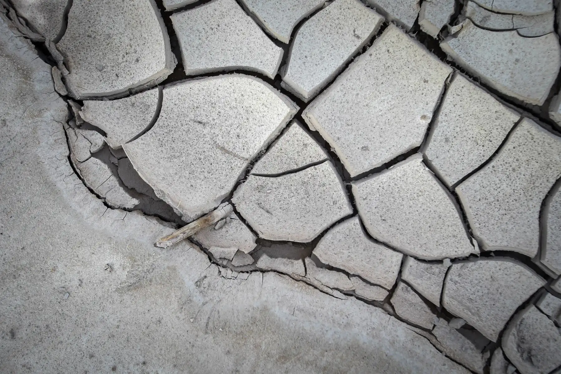 Valles agrícolas en la región de Tacna se vieron afectados por huaicos y crecidas del río Locumba. Foto: ANDINA/Nathalie Sayago