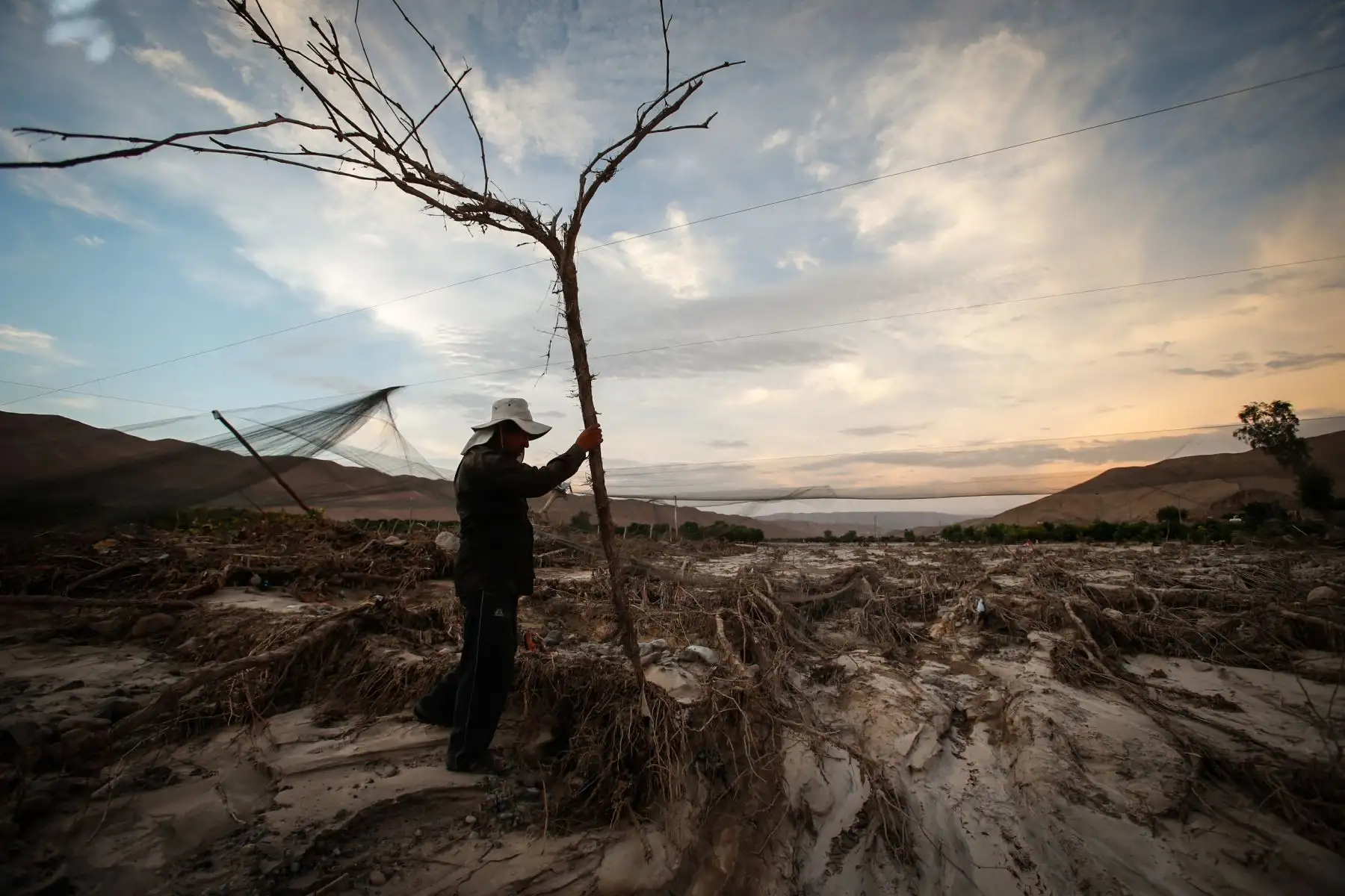 Valles agrícolas en la región de Tacna se vieron afectados por huaicos y crecidas del río Locumba. Foto: ANDINA/Nathalie Sayago