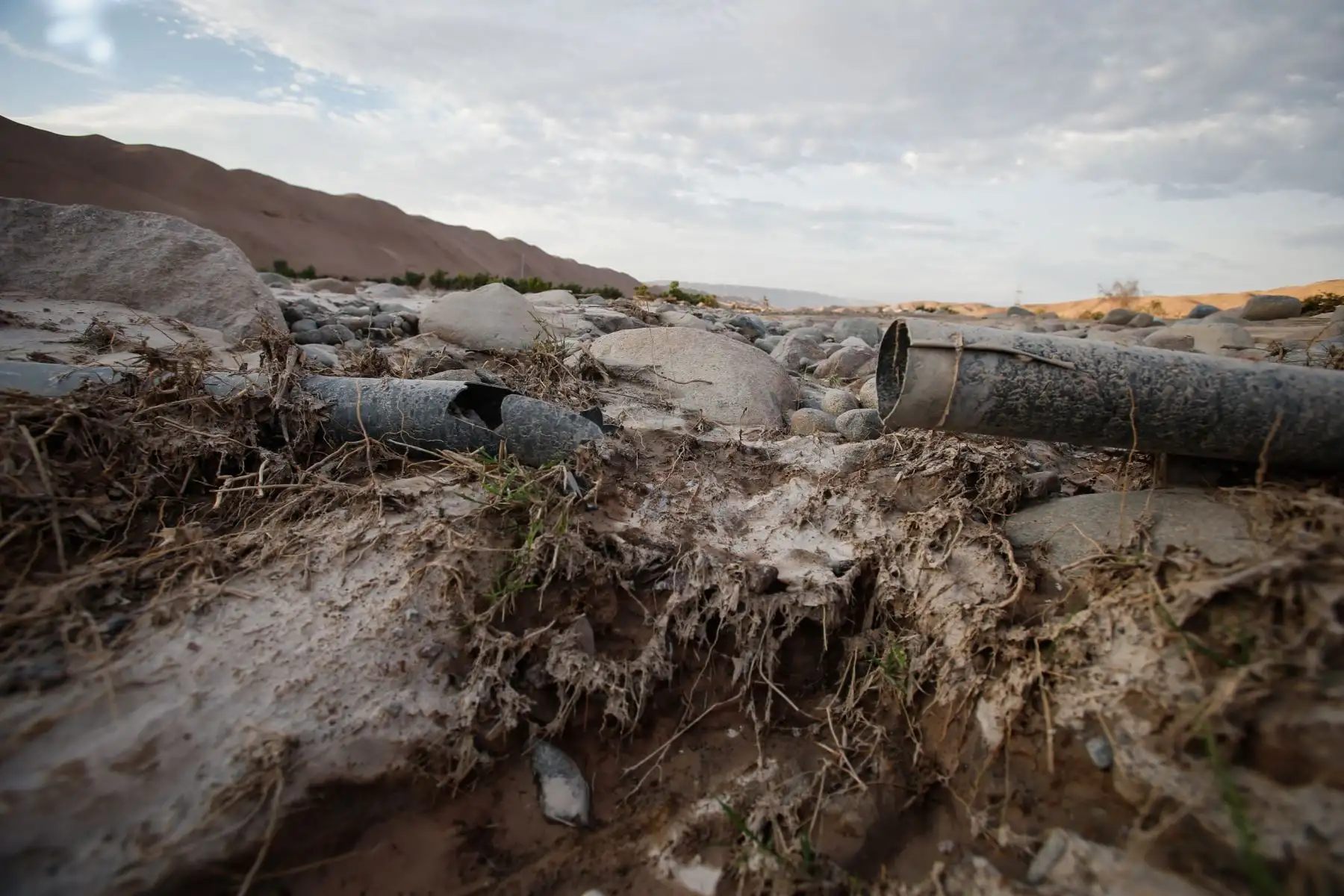 Valles agrícolas en la región de Tacna se vieron afectados por huaicos y crecidas del río Locumba. Foto: ANDINA/Nathalie Sayago