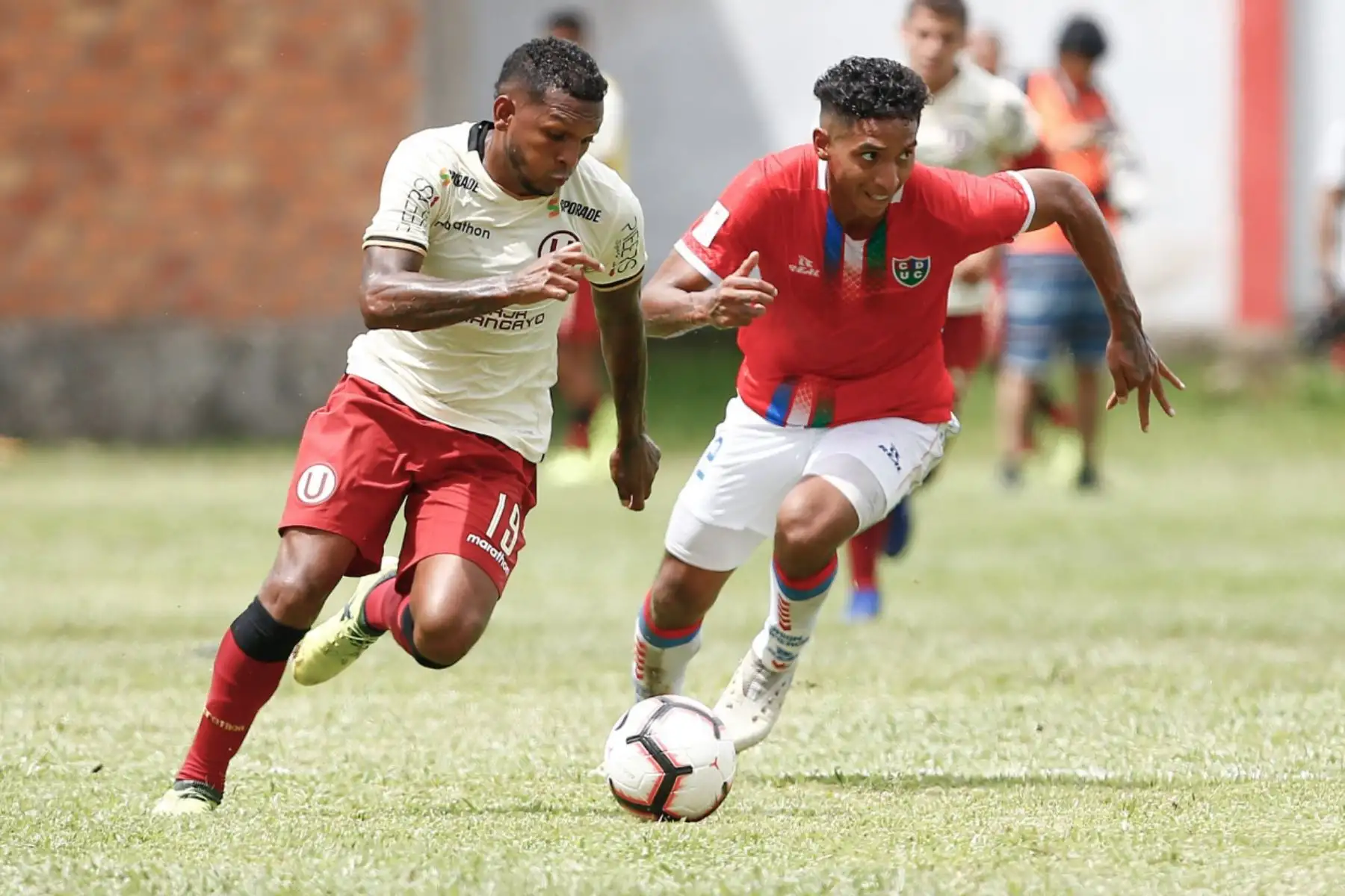Universitario de Deportes rescató un punto en su visita a Moyobamba tras iguala (1-1) con Unión Comercio en partido válido por la primera fecha de la Liga1. Los "cremas" fueron los que emparejaron el cotejo gracias al gol del argentino Germán Dennis de penal. Foto: ANDINA/Twiter Universitario