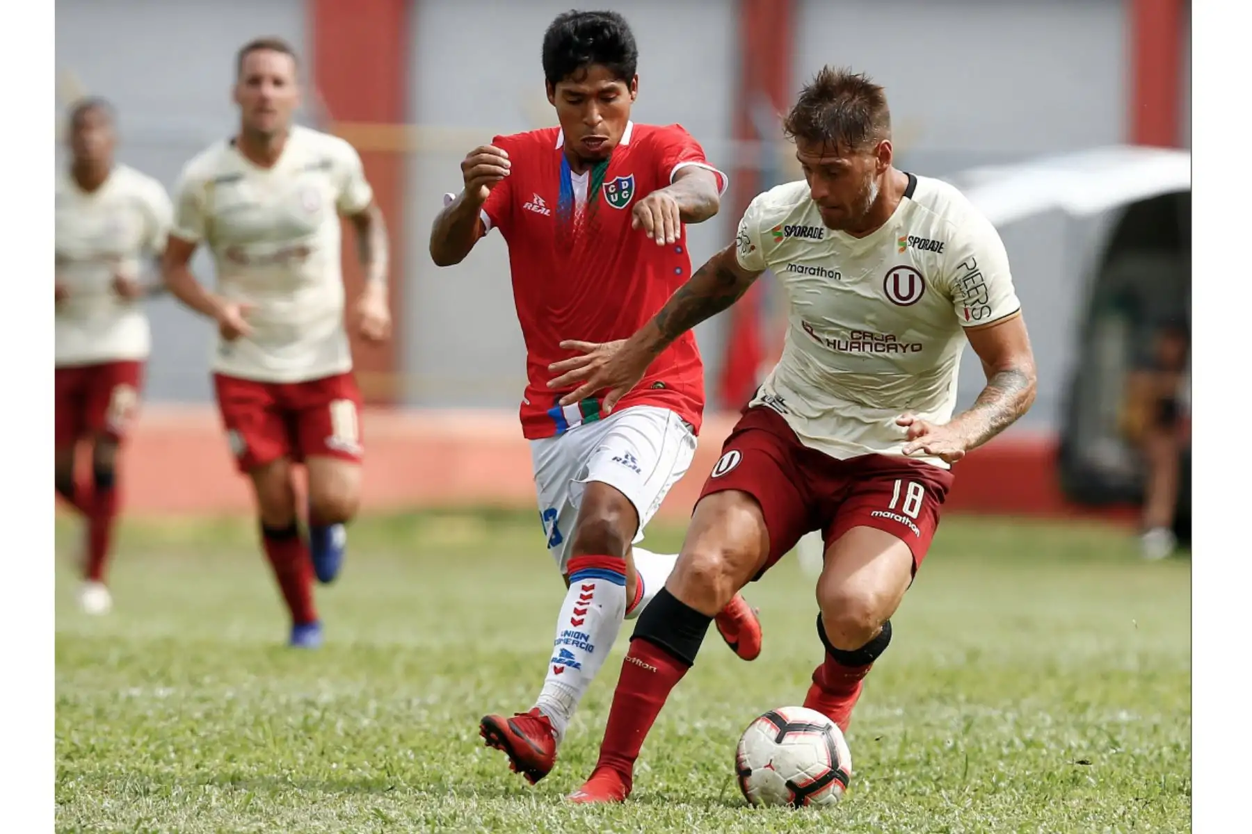 Universitario de Deportes rescató un punto en su visita a Moyobamba tras iguala (1-1) con Unión Comercio en partido válido por la primera fecha de la Liga1. Los "cremas" fueron los que emparejaron el cotejo gracias al gol del argentino Germán Dennis de penal. Foto: ANDINA/Twiter Universitario