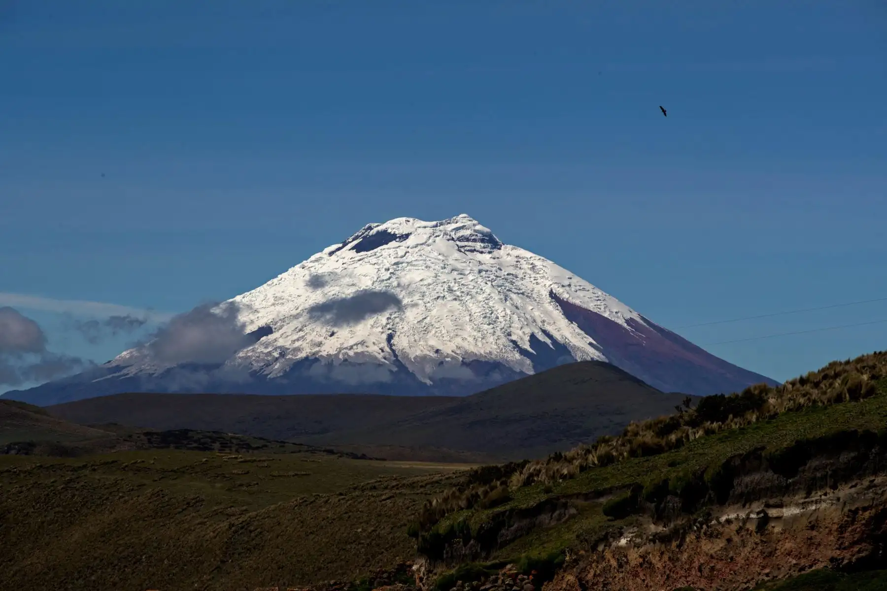 Volcán Cotopaxi, visto desde la provincia de Napo, y que cuenta con una cobertura glaciar. Foto: EFE