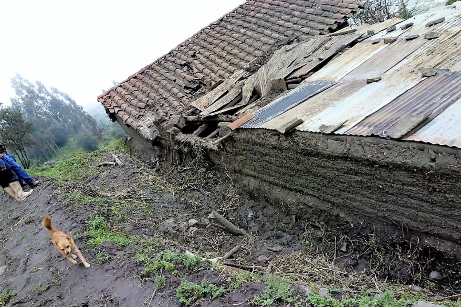 Cinco viviendas colapsan y otras 20 fueron declaradas inhabitables en Huallanca, Áncash, por lluvias intensas. ANDINA