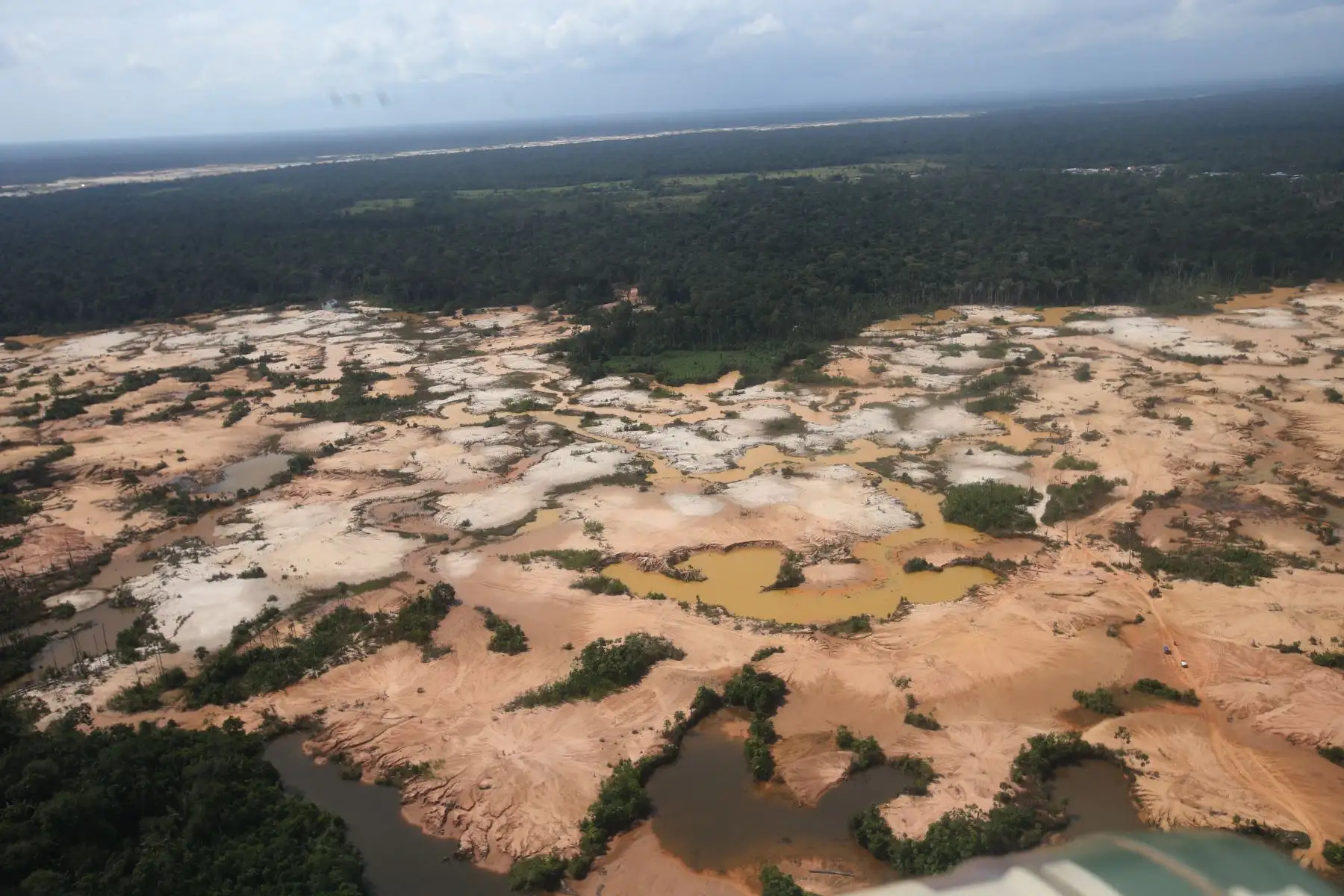 Vista panoramìcas  de parte de la reserva de Tambopata , luego del abandonado por los mineros ilegales, en estas  zona confluyen delitos como la trata de personas, explotación sexual y laboral, sicariato, evasión de impuestos, entre otros. Foto: ANDINA/Jhony Laurente