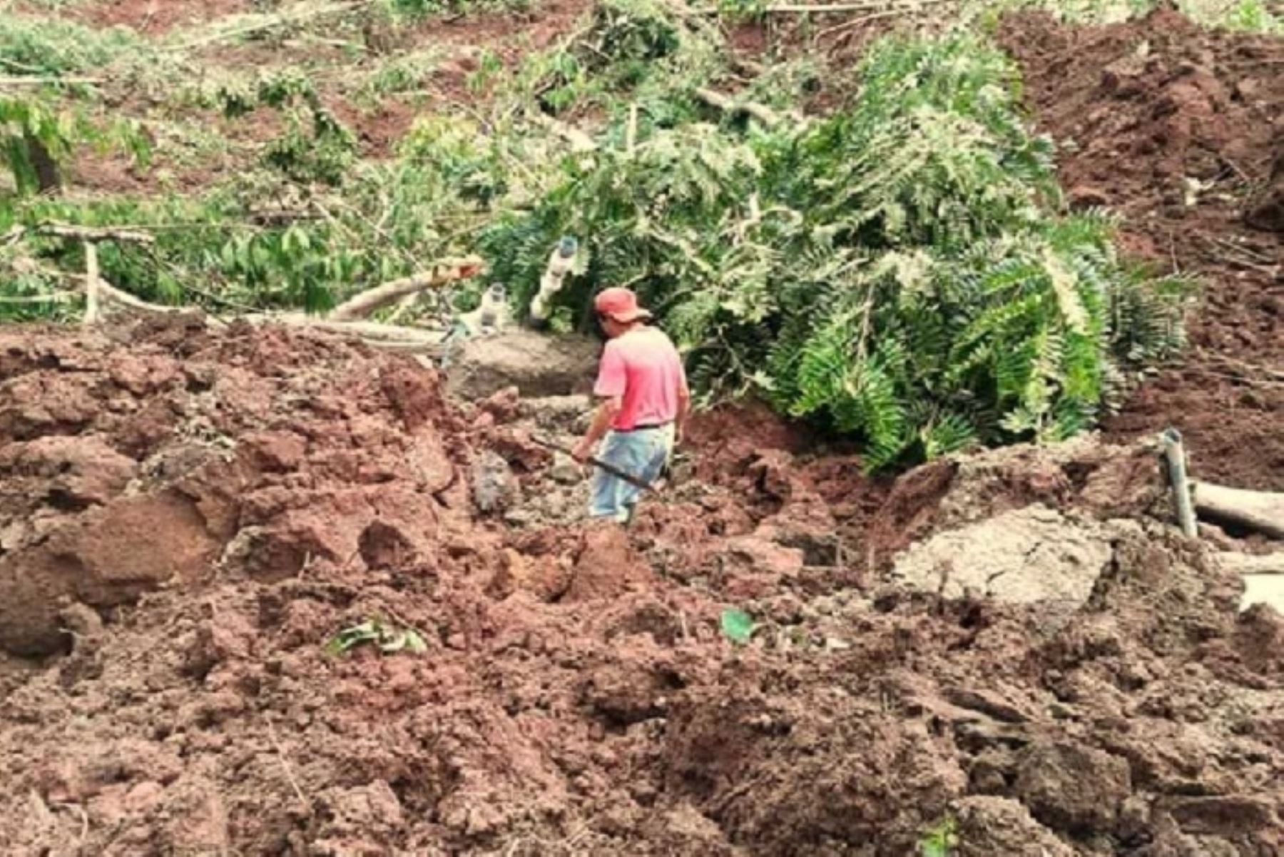Lluvias intensas han ocasionado huaicos y deslizamientos en la provincia de Oxapampa, región Pasco. Foto: ANDINA/Archivo