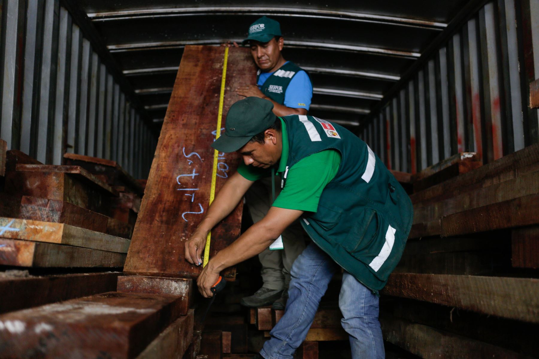 Intervienen camiones que transportaban madera con documentos adulterados. ANDINA/Difusión