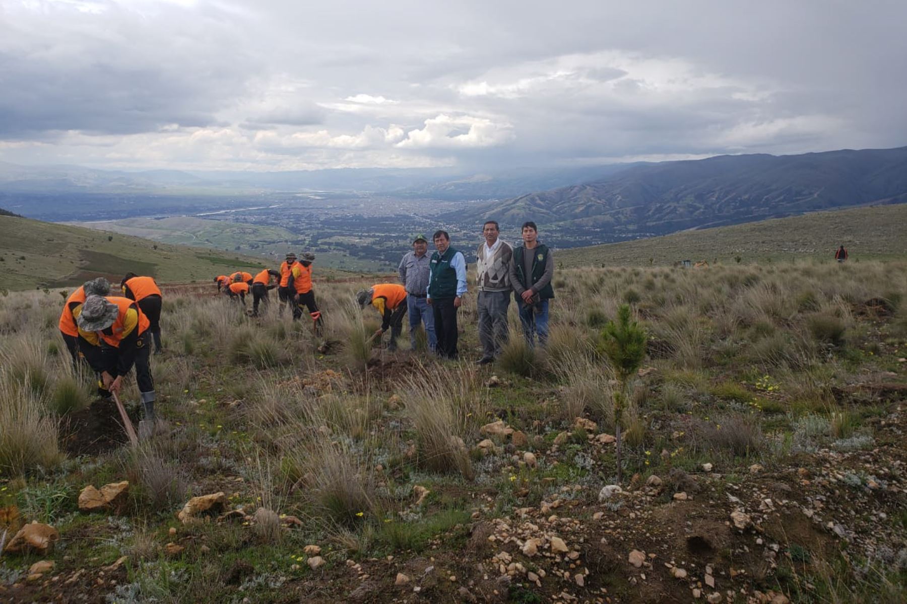 Miembros del Ejército participan en campaña de reforestación en Junín. ANDINA/Difusión