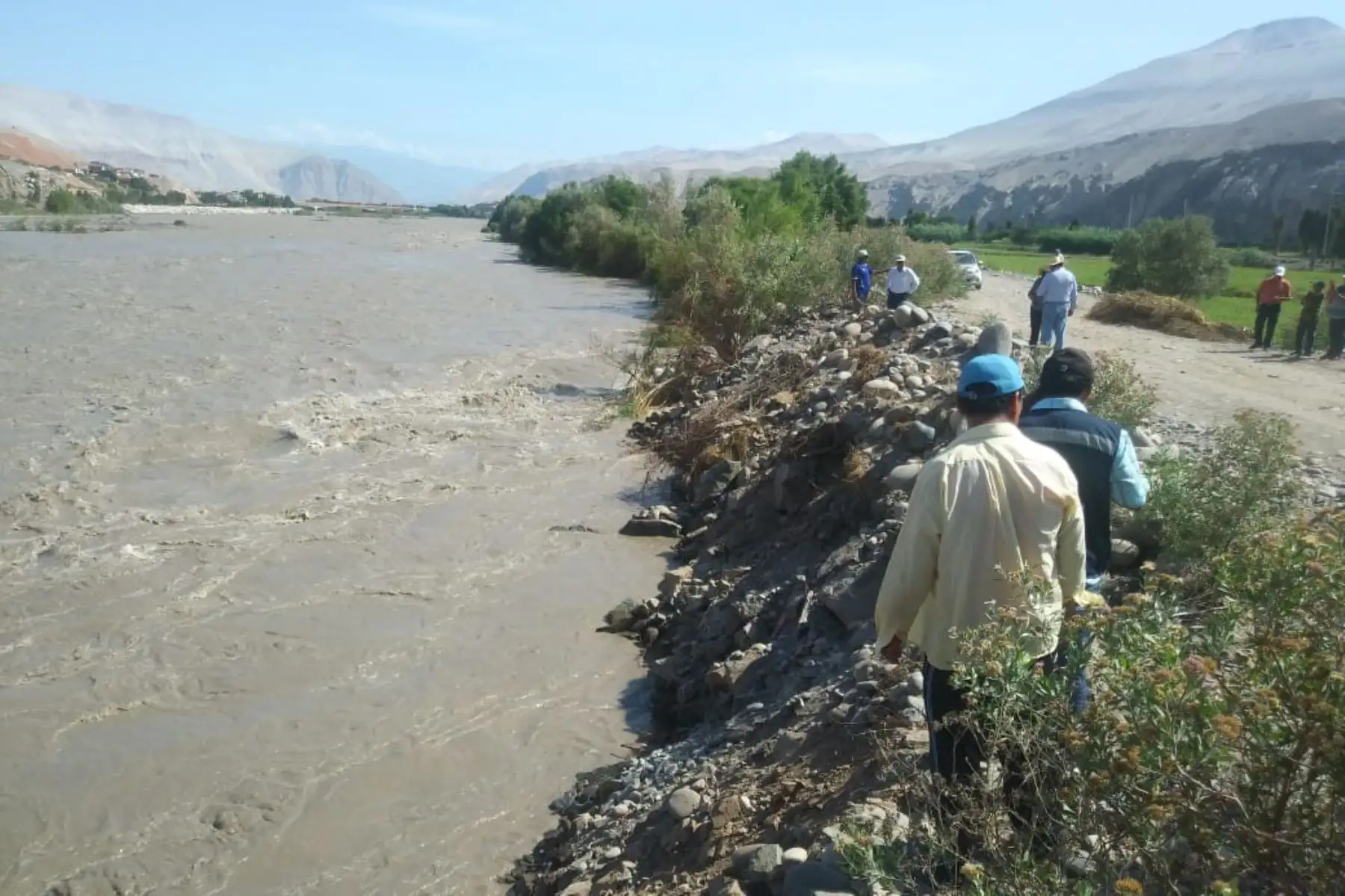 Arequipa: crece caudal del río Majes y arrasa cultivos de arroz. Foto: ANDINA/ Cortesía Rocío Méndez