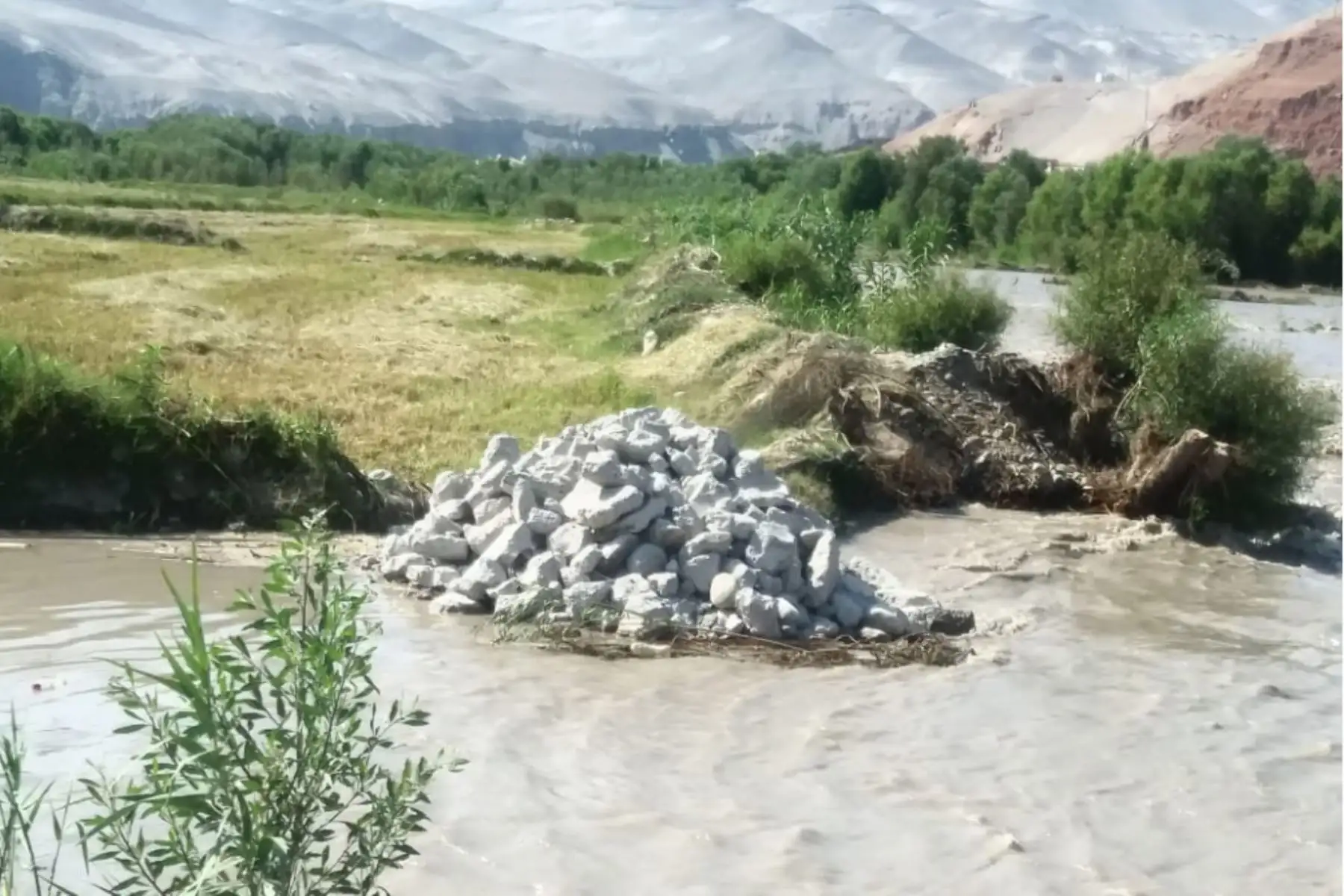 Arequipa: crece caudal del río Majes y arrasa cultivos de arroz. Foto: ANDINA/ Cortesía Rocío Méndez