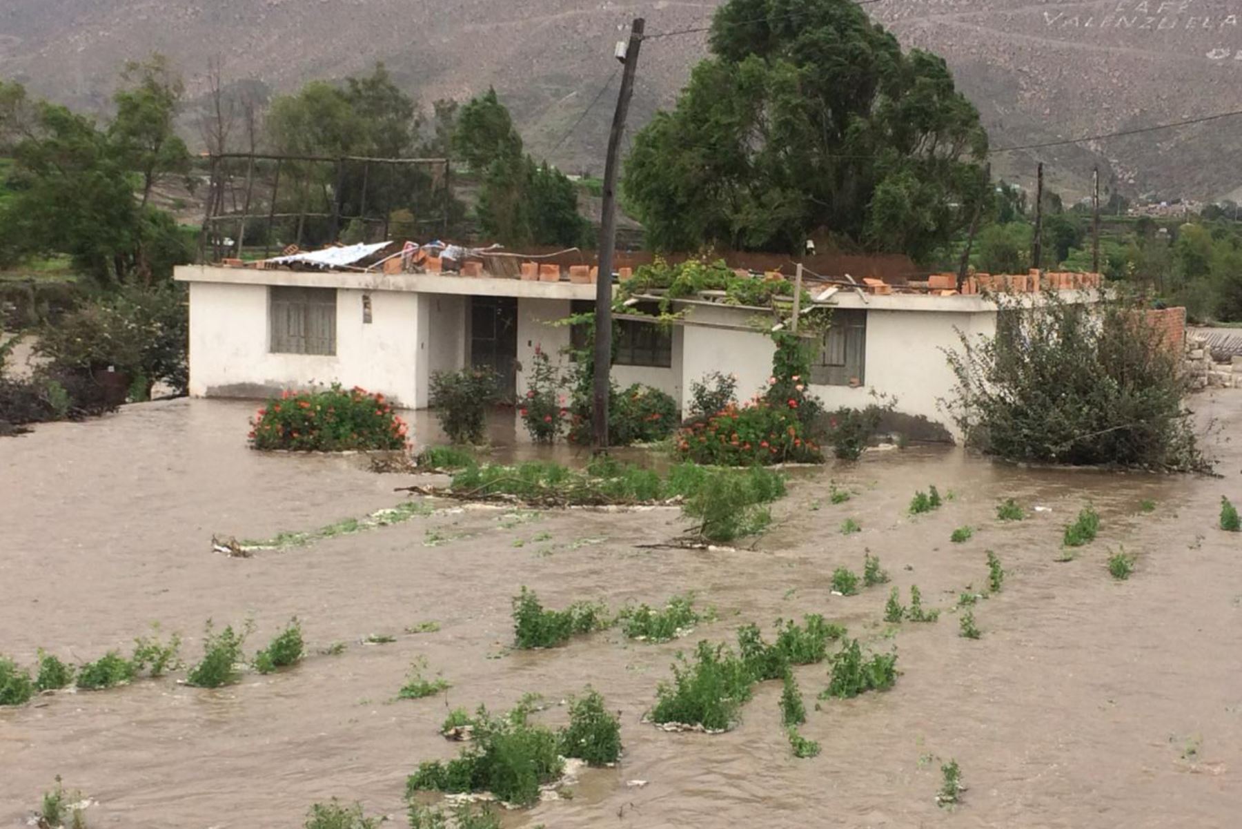 Desborde del río Chili en Arequipa. Foto.ANDINA/ Cortesía Rocío Méndez
