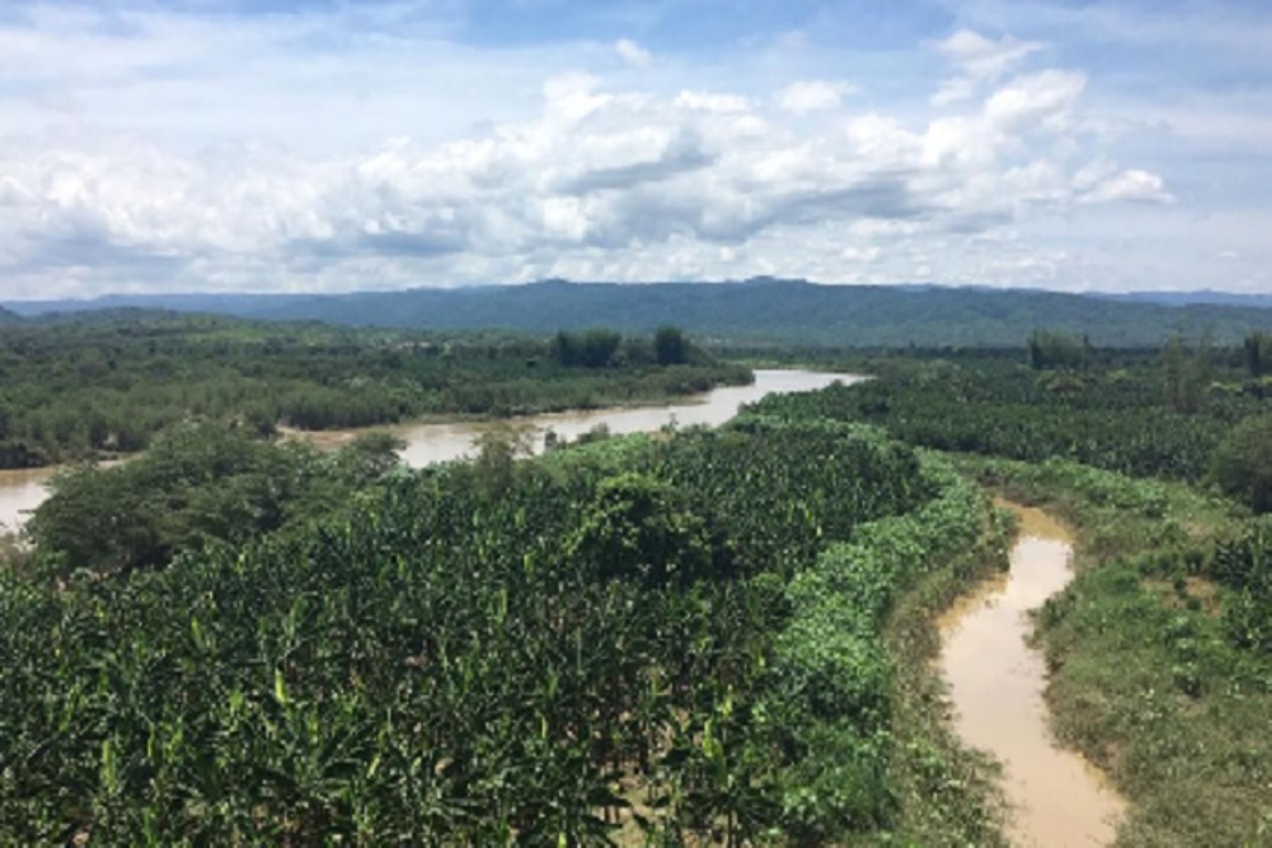 El Ministerio de Agricultura y Riego, a través del Proyecto Especial Binacional Puyango Tumbes (PEBPT), intervendrá en los puntos críticos de los ríos Zarumilla y Tumbes, además de efectuar limpieza de drenes, como parte de las acciones de prevención ante posibles desbordes que afecten a la ciudad y a los agricultores.