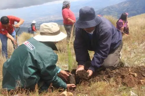 Más de 500 campesinos hombres y mujeres del distrito de Pucará en la provincia de Huancayo, participaron activamente en el lanzamiento de la “Campaña Forestal en la Región Junin”, impulsada por el Ministerio de Agricultura y Riego (Minagri) y ejecutada a través de Agro Rural en alianza estratégica con los gobiernos regionales y locales.