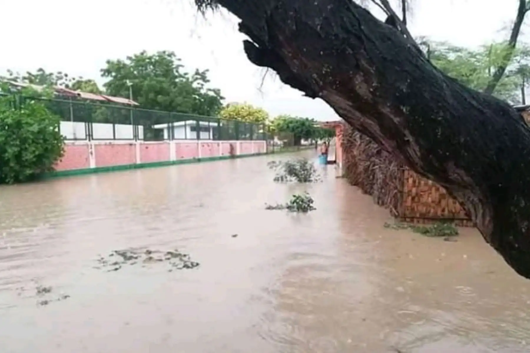 Decenas de familias resultaron afectadas debido a los fuertes vientos y lluvia torrencial que duró varias horas en la provincia piurana de Chulucanas, informaron las autoridades.
