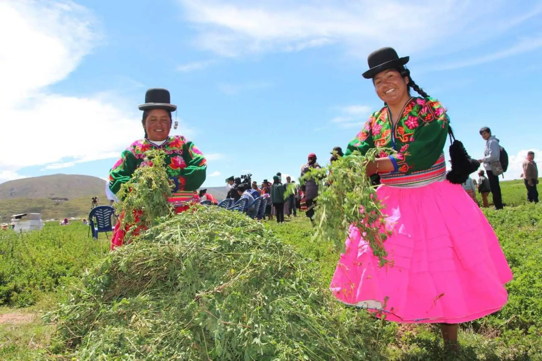 En el marco del Plan Nacional de Desarrollo Ganadero, el Ministerio de Agricultura y Riego (Minagri), anunció que este año en la región Puno se instalarán más de 25,000 hectáreas de pastos cultivados, casi el doble de hectáreas atendidas el año anterior.