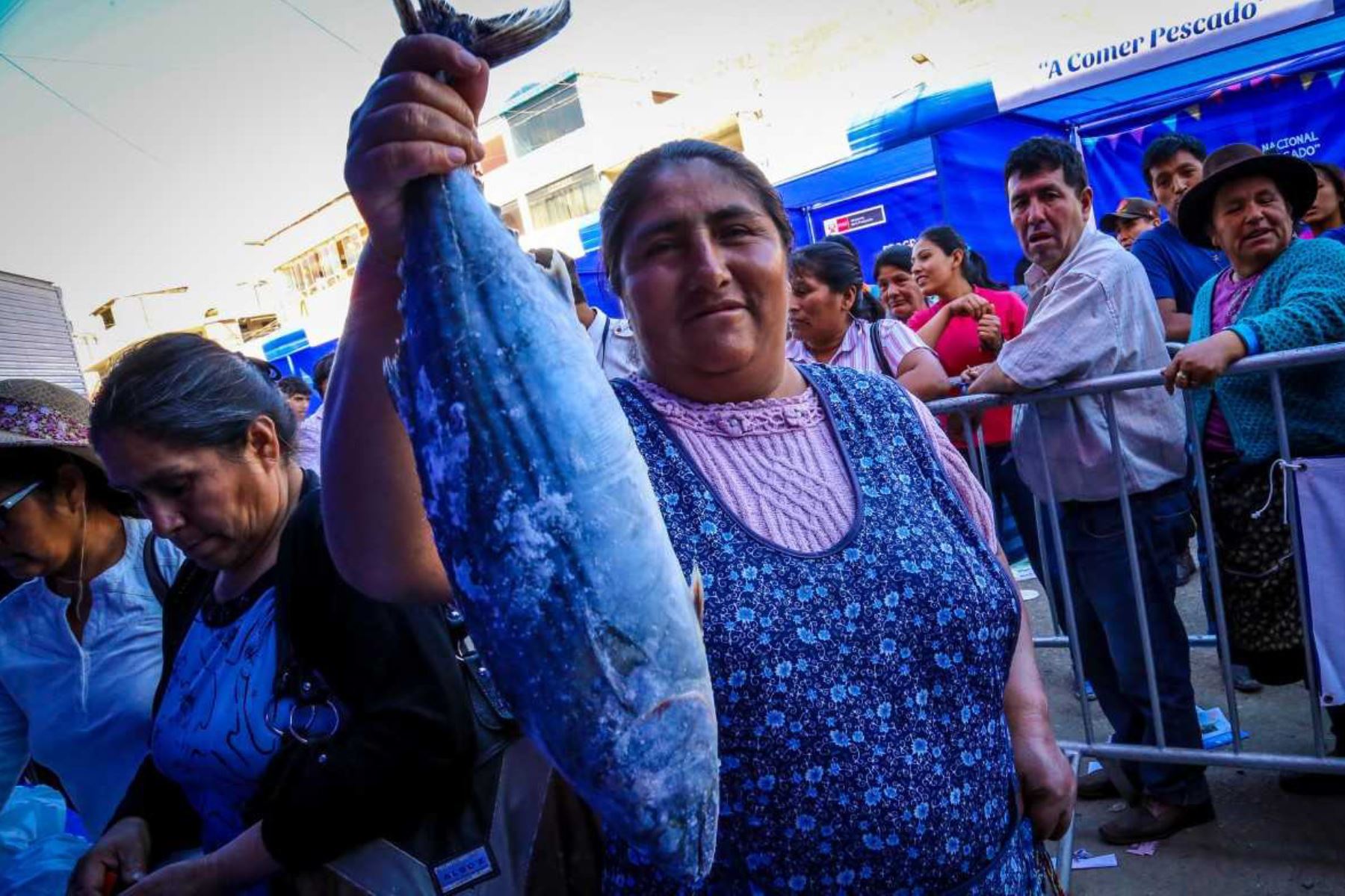 Huánuco: programa “A Comer Pescado” venderá a precios de promoción en Amarilis, región Huánuco.