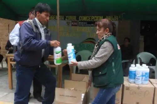 Pequeños agricultores de papa, habas, maíz y arvejas, entre otros cultivos de pan llevar, afectados por las bajas temperaturas y déficit hídrico en la región Junín, vienen siendo atendidos por Agro Rural del Ministerio de Agricultura y Riego (Minagri), con la entrega de 4,012 litros de abono foliar y 1,003 litros de adherentes.