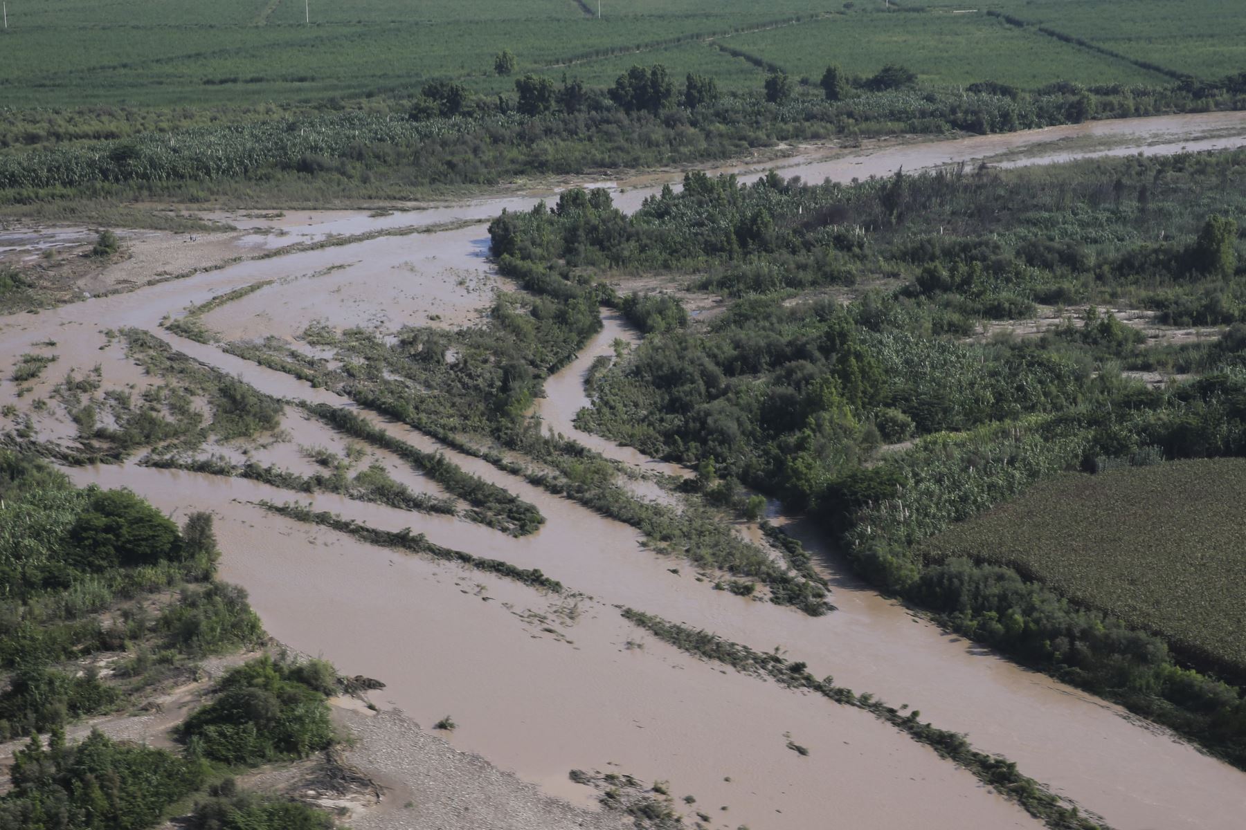 Las lluvias intensas registradas en Lambayeque provocaron el desborde de los ríos que cruzan esa región. ANDINA/Jhony Laurente