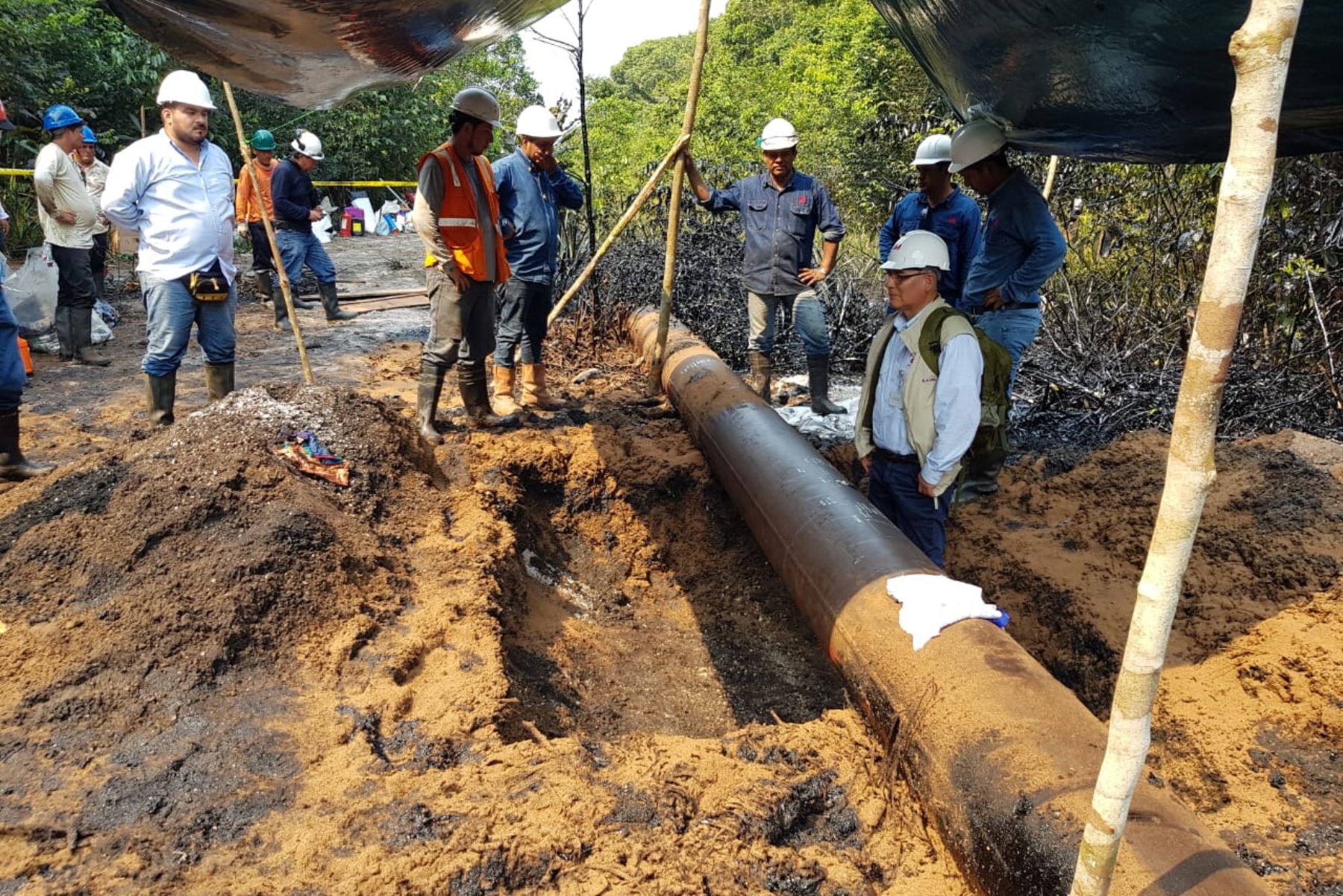 Petroperú insta a comunidades de Manseriche a facilitar limpieza tras derrame en oleoducto. ANDINA/Difusión