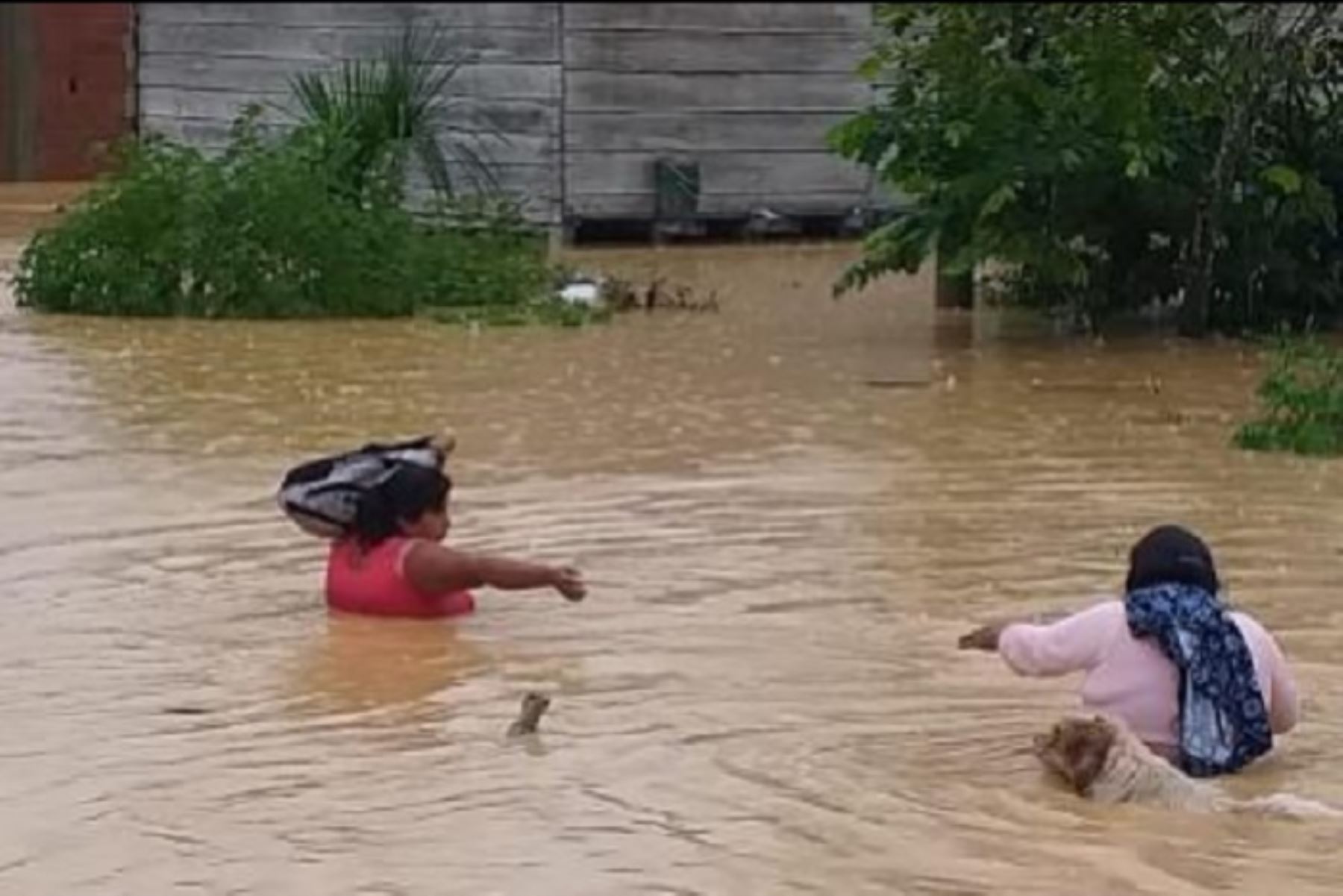 Los desbordes de varias quebradas ocasionaron una inundación que ha dejado hasta el momento 150 familias afectadas en el Sector Virgen de la Candelaria (altura del kilómetro 322 de la vía interoceánica Urcos-Iñapari), distrito de Inambari, provincia Tambopata, en la región Madre de Dios.