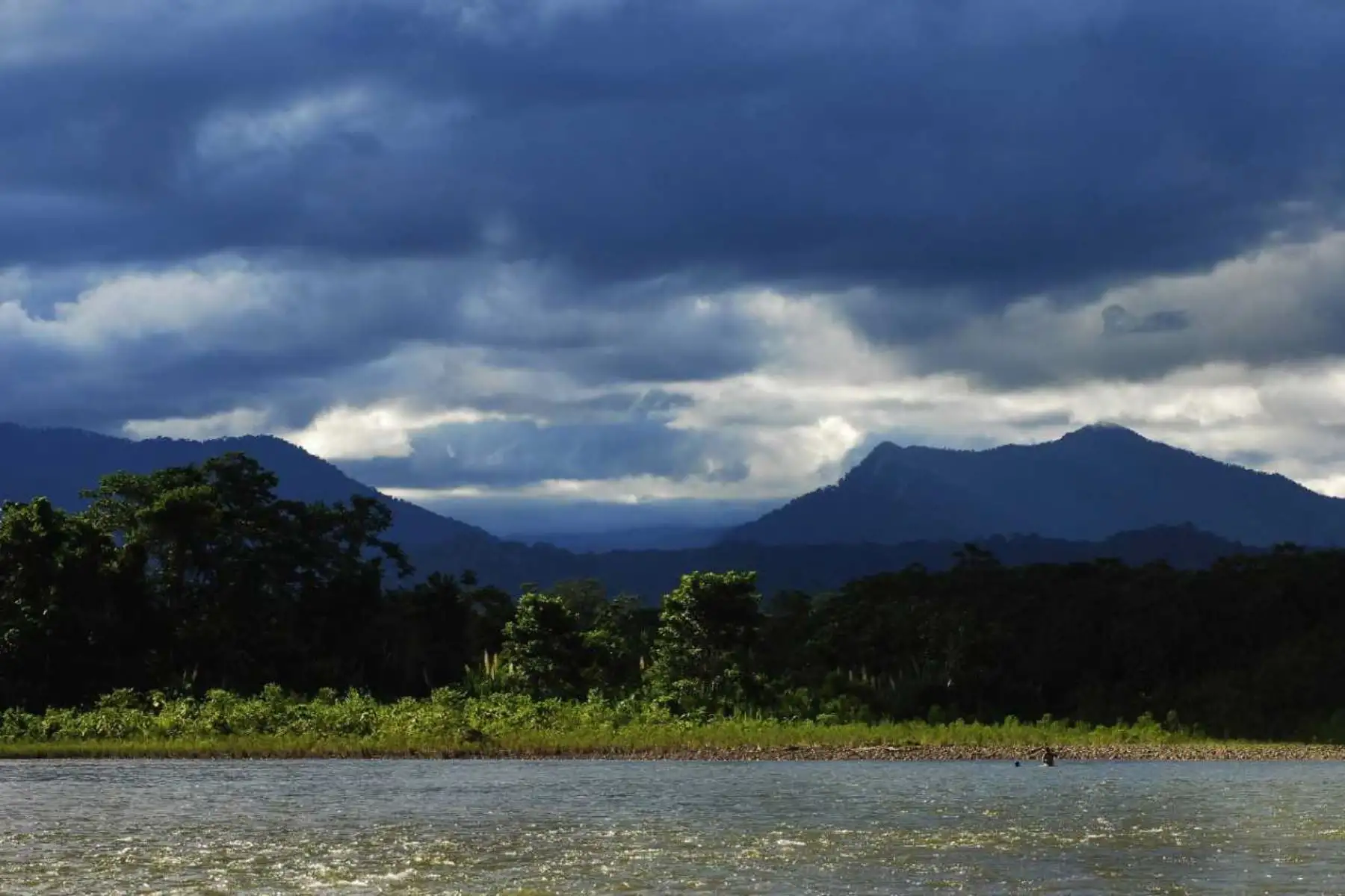 Santuario Nacional Megantoni, ubicado en la región Cusco.