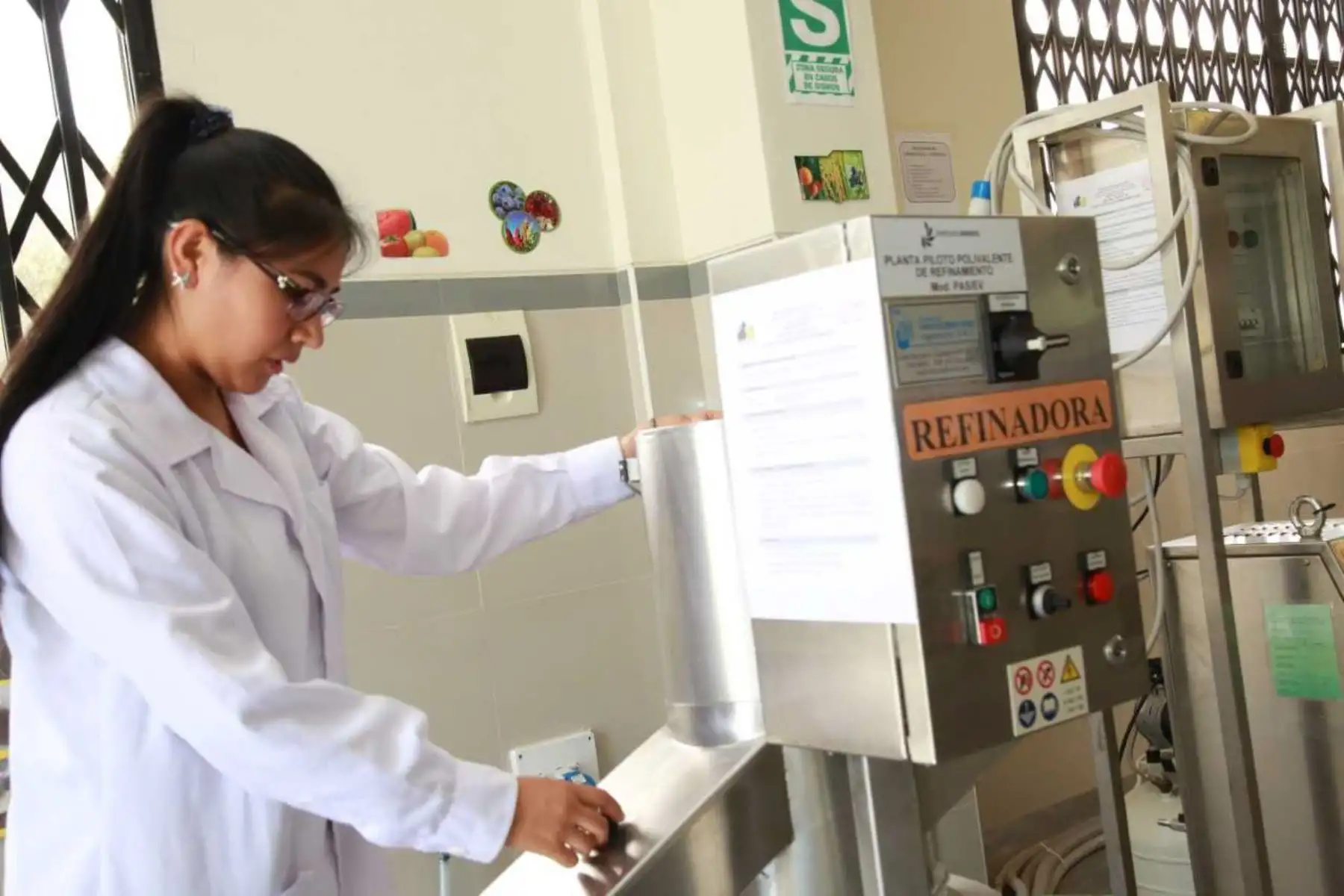 Un equipo técnico de investigadores de la Universidad Nacional del Santa inició la producción de panes y galletas nutritivas a base de harina de granos andinos como la quinua, kiwicha y kañiwa, los cuales contribuyen a mejorar la alimentación y combatir la desnutrición.