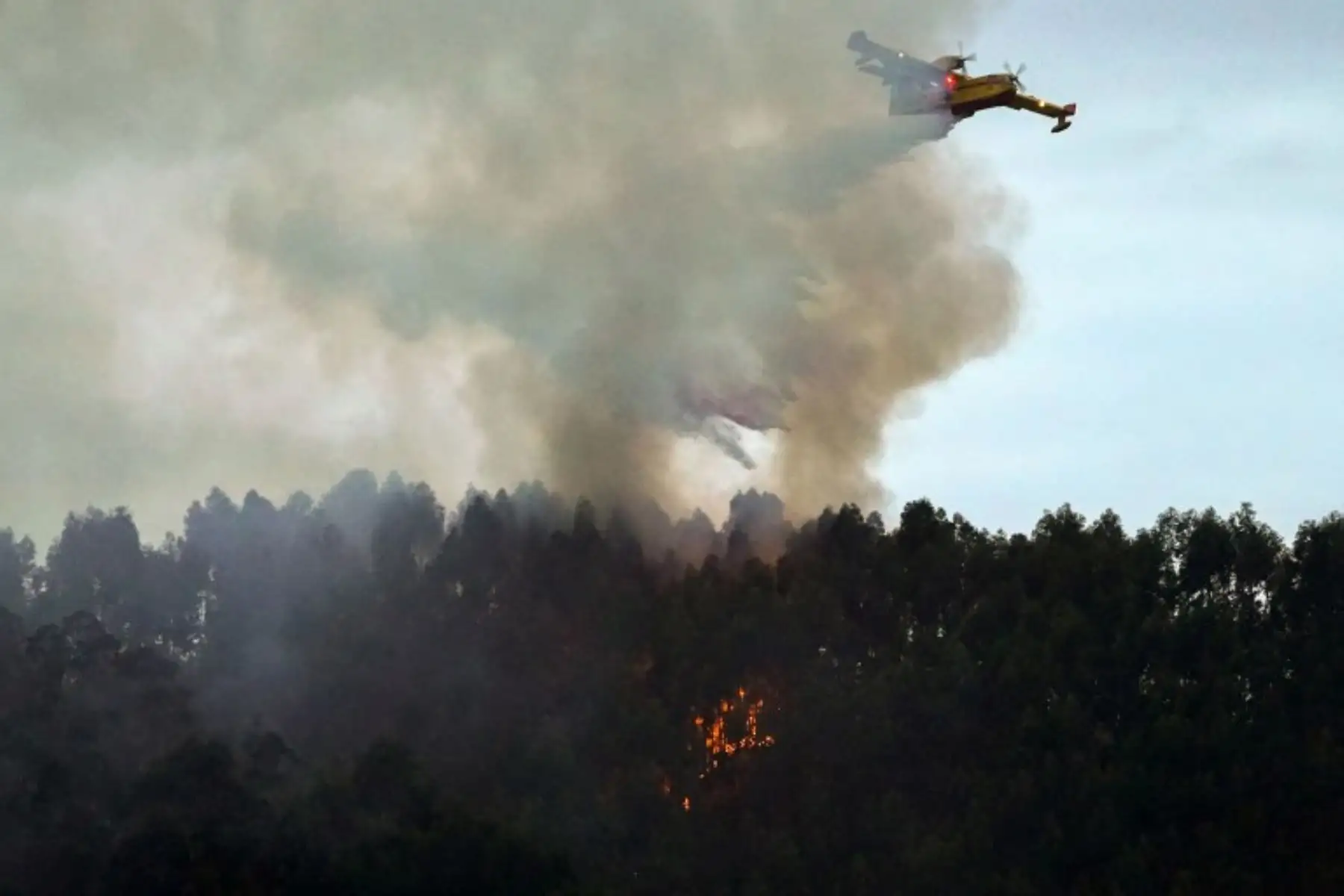 Bomberos ayudan a contener los incendios forestales que se desataron en Asturias al norte de España. Foto: AFP