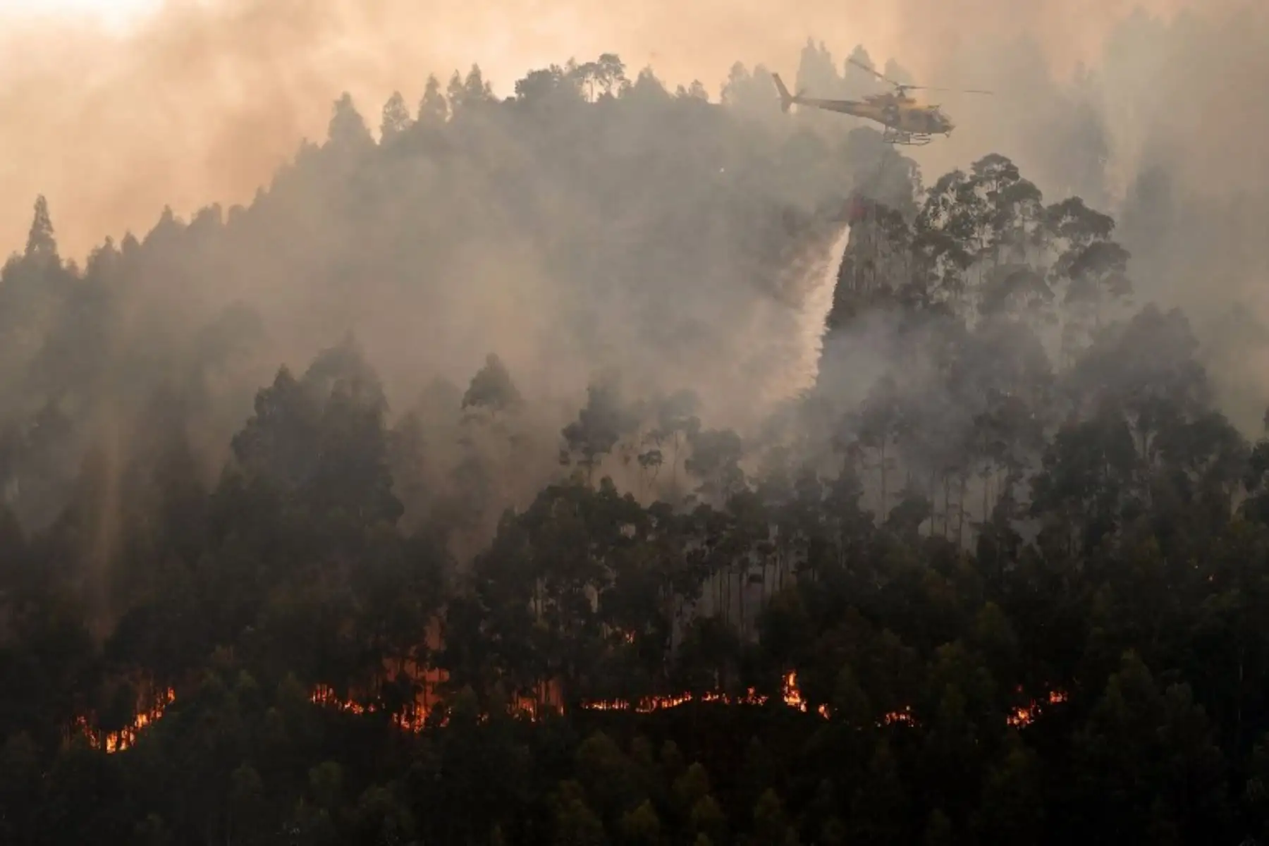 Bomberos ayudan a contener los incendios forestales que se desataron en Asturias al norte de España. Foto: AFP