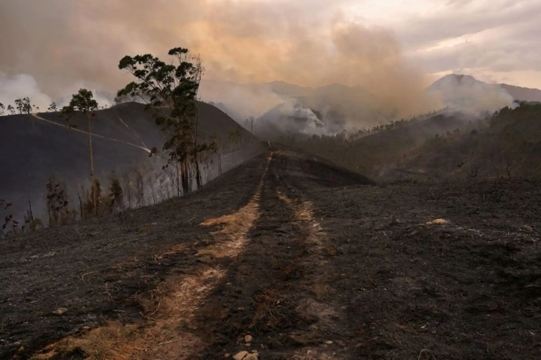 Asturias registra incendios forestales en un total de 32 de los 78 municipios de la región de España. Foto: AFP