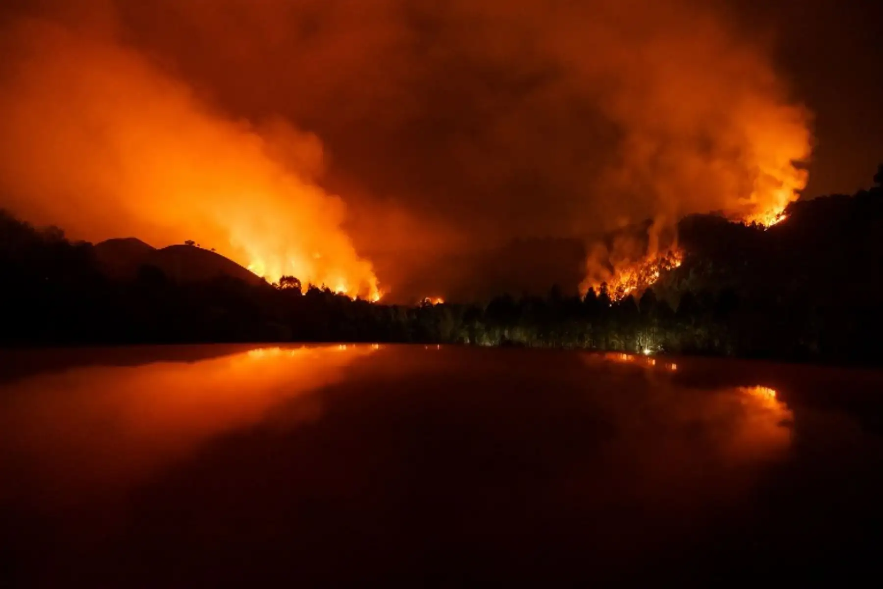 Asturias registra incendios forestales en un total de 32 de los 78 municipios de la región de España. Foto: AFP