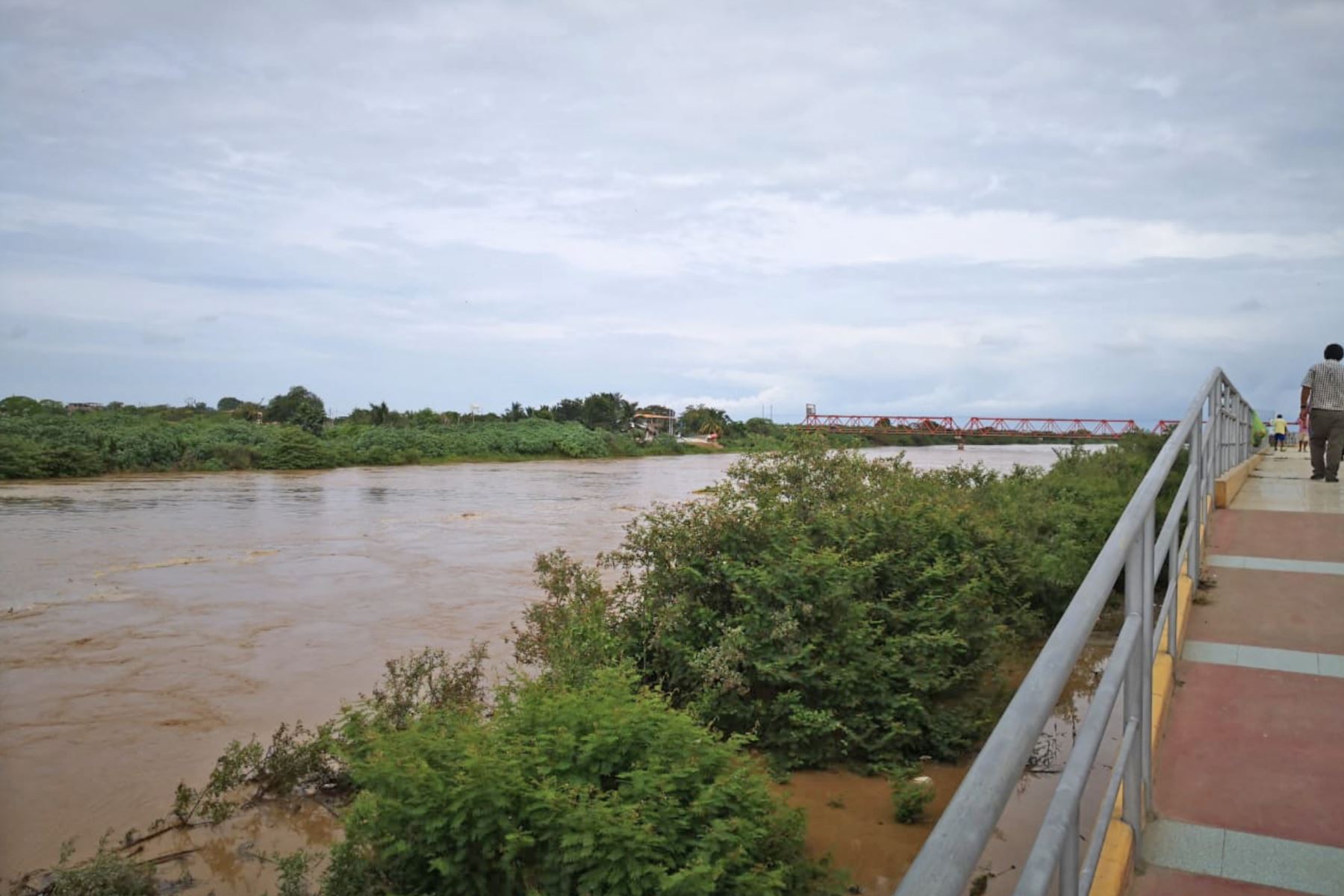 Autoridades evacúan a personas que se ubican cerca de ribera de río Tumbes luego de emitirse una alerta roja por posible desborde. Foto: ANDINA