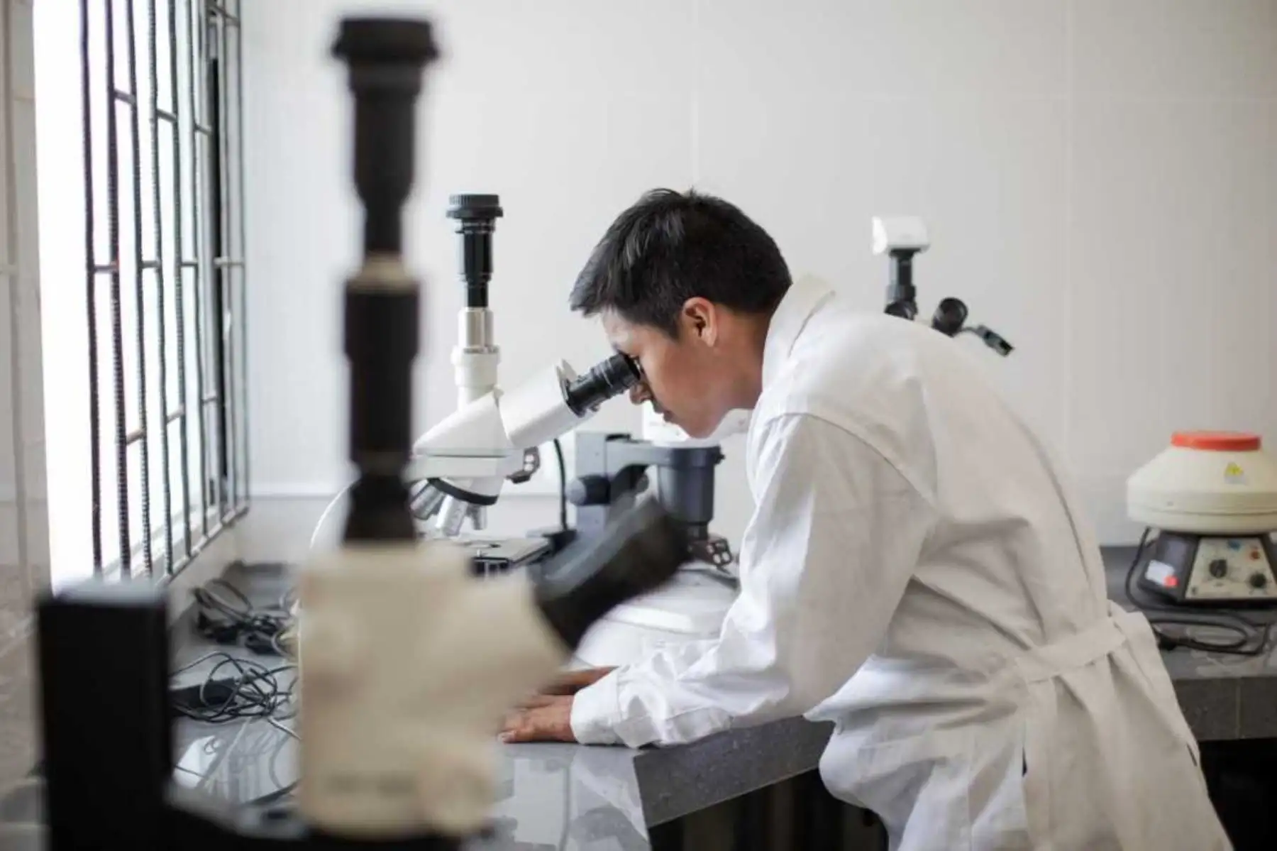 ¡Atención! China te ofrece becas integrales en 289 universidades de prestigio. Foto: ANDINA/Difusión.
