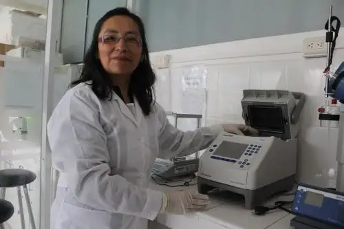 Conoce a María Antonieta Quispe, la científica cusqueña que busca hallar la cura de la uta y reducir la contaminación minera. ANDINA/Percy Hurtado