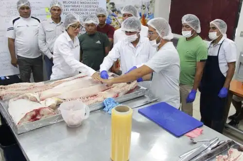 Pescadores de la Reserva Nacional Pacaya Samiria, región Loreto, fueron capacitados en procesamiento primario del paiche para consumo humano.