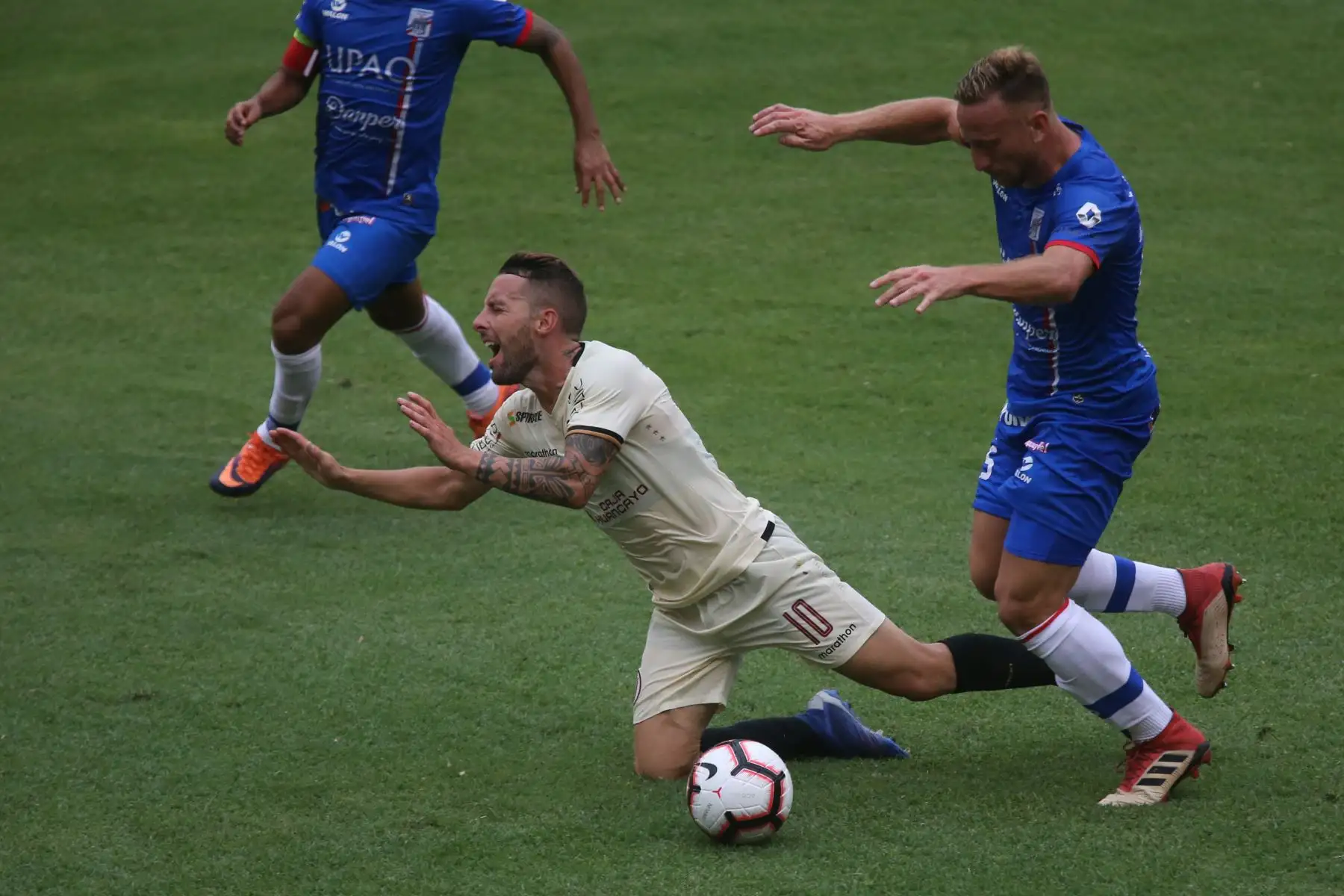 Partido de la cuarta jornada del Torneo Apertura de la Liga 1, entre Universitario de Deportes vs Carlos A. Manucci en el estadio Monumental. Foto:ANDINA/ Jhony Laurente