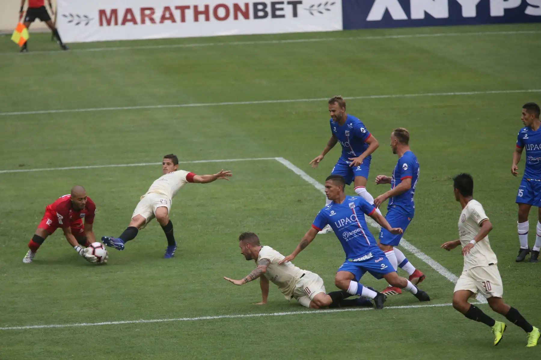 Partido de la cuarta jornada del Torneo Apertura de la Liga 1, entre Universitario de Deportes vs Carlos A. Manucci en el estadio Monumental. Foto:ANDINA/ Jhony Laurente