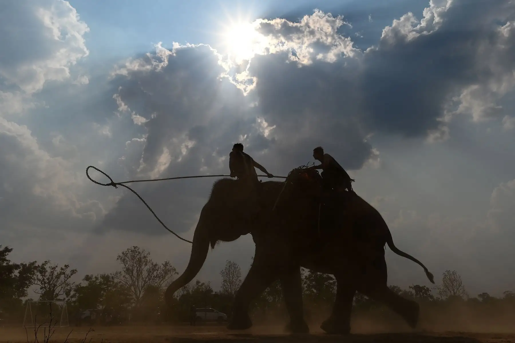 Los mahouts preparan a sus elefantes para la carrera del festival de elefantes de Buon Don en Vietnam. Foto: AFP