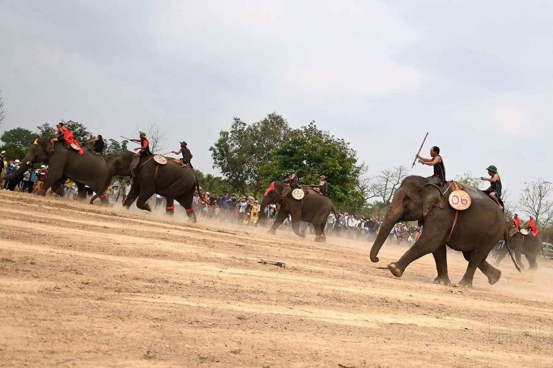 Los lugareños dicen que la carrera es una celebración de los animales considerados como miembros de la familia en esta parte de Vietnam: Foto: AFP