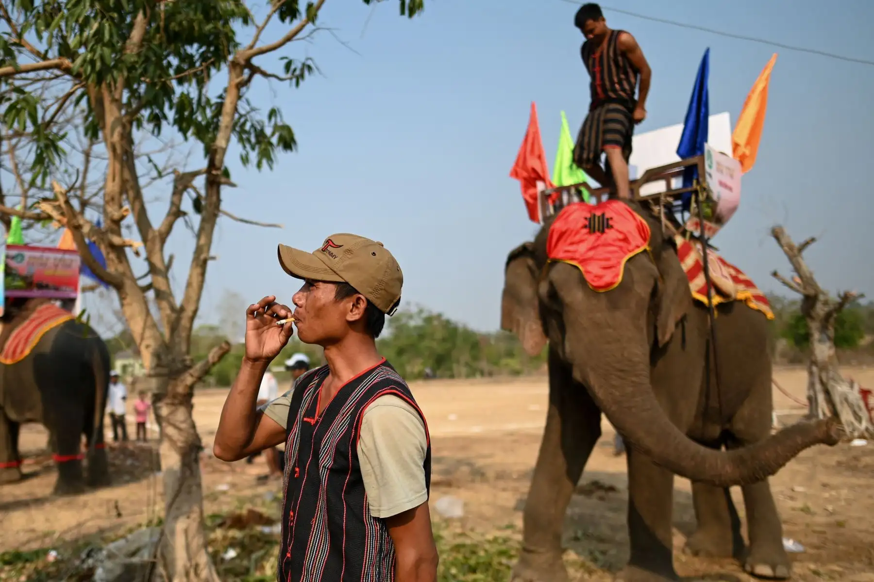 Los lugareños dicen que la carrera es una celebración de los animales considerados como miembros de la familia en esta parte de Vietnam: Foto: AFP