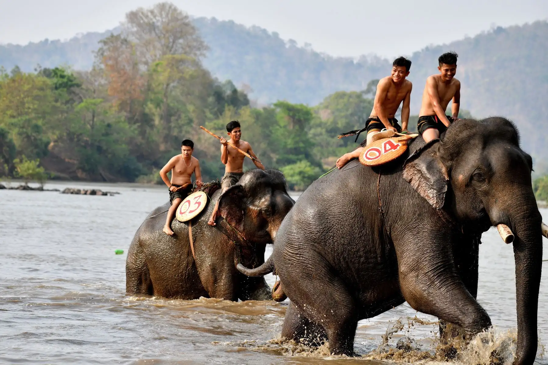 Los mahouts se preparan en el río para participar en una carrera de elefantes en Vietnam. Foto: AFP