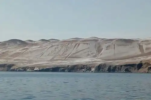 El Candelabro de Paracas luce una costra blanca, que comúnmente la gente lo denomina "