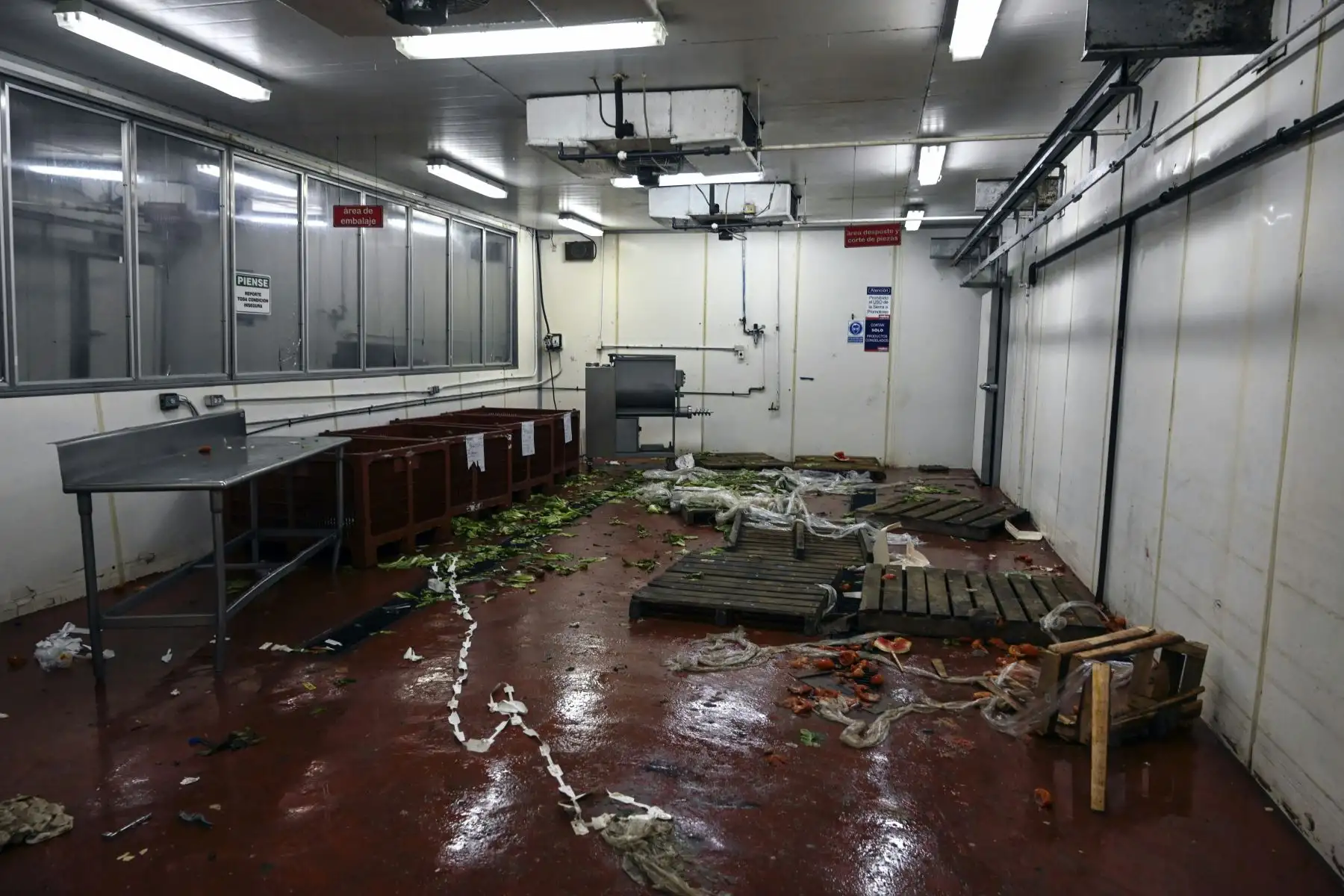 Interiores de un supermercado saqueado durante el apagón masivo que ha paralizado Venezuela durante seis días, en Maracaibo, en el estado fronterizo de Zulia. Foto: AFP