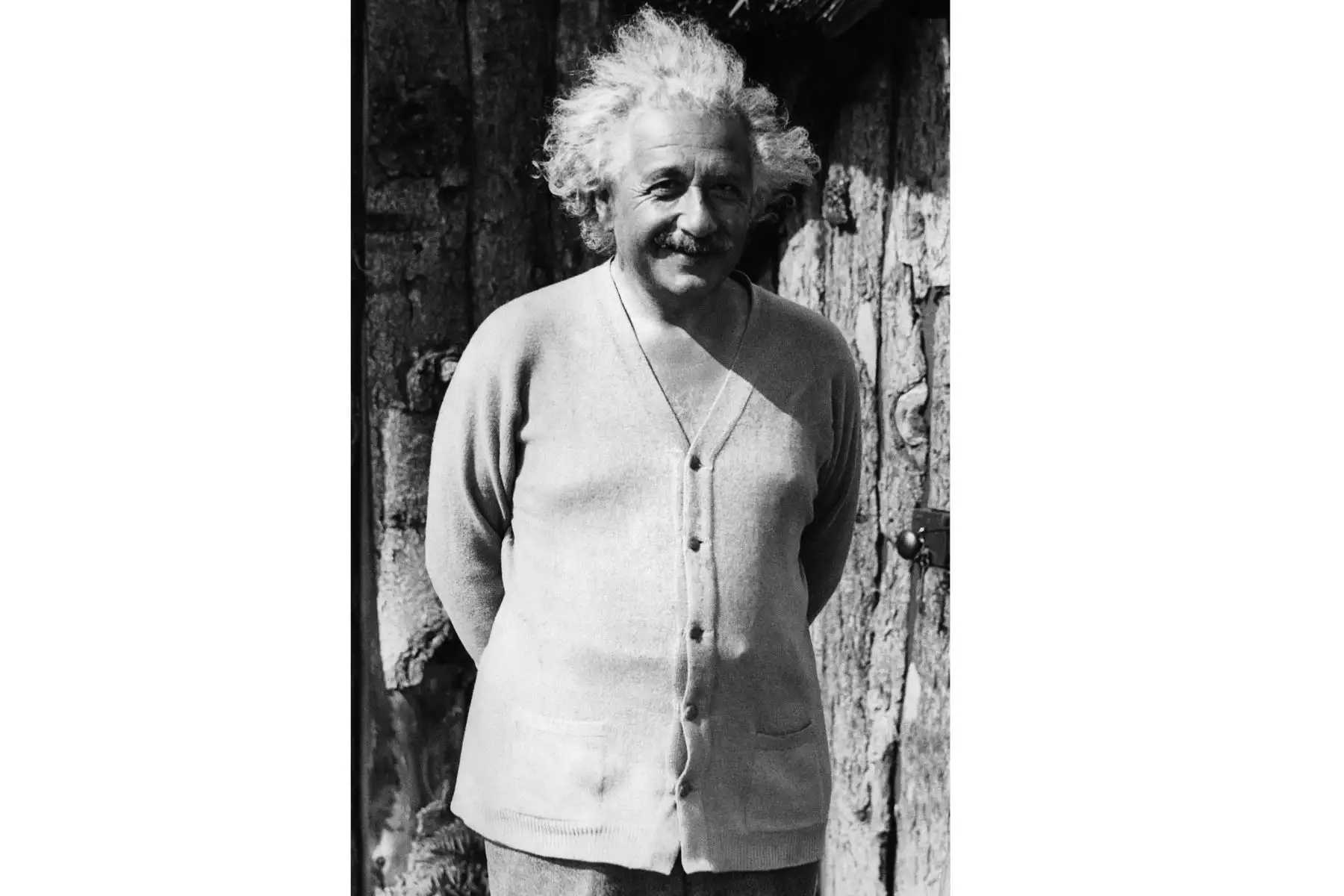 Retrato sin fecha del físico Albert Einstein (1879-1955), autor de la teoría de la relatividad, galardonado con el Premio Nobel de Física en 1921. Foto: AFP