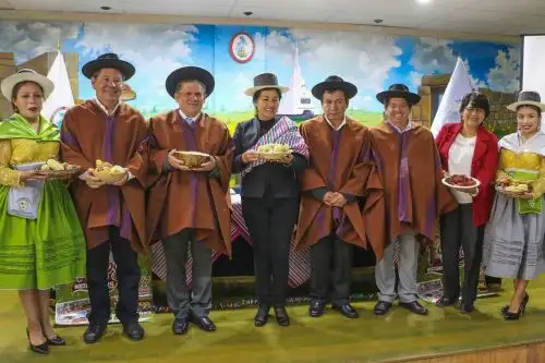 Ayacucho celebra el Primer Tupay Nacional Mandolina de Oro 2019 como parte de actividades de Marca Ayacucho. ANDINA